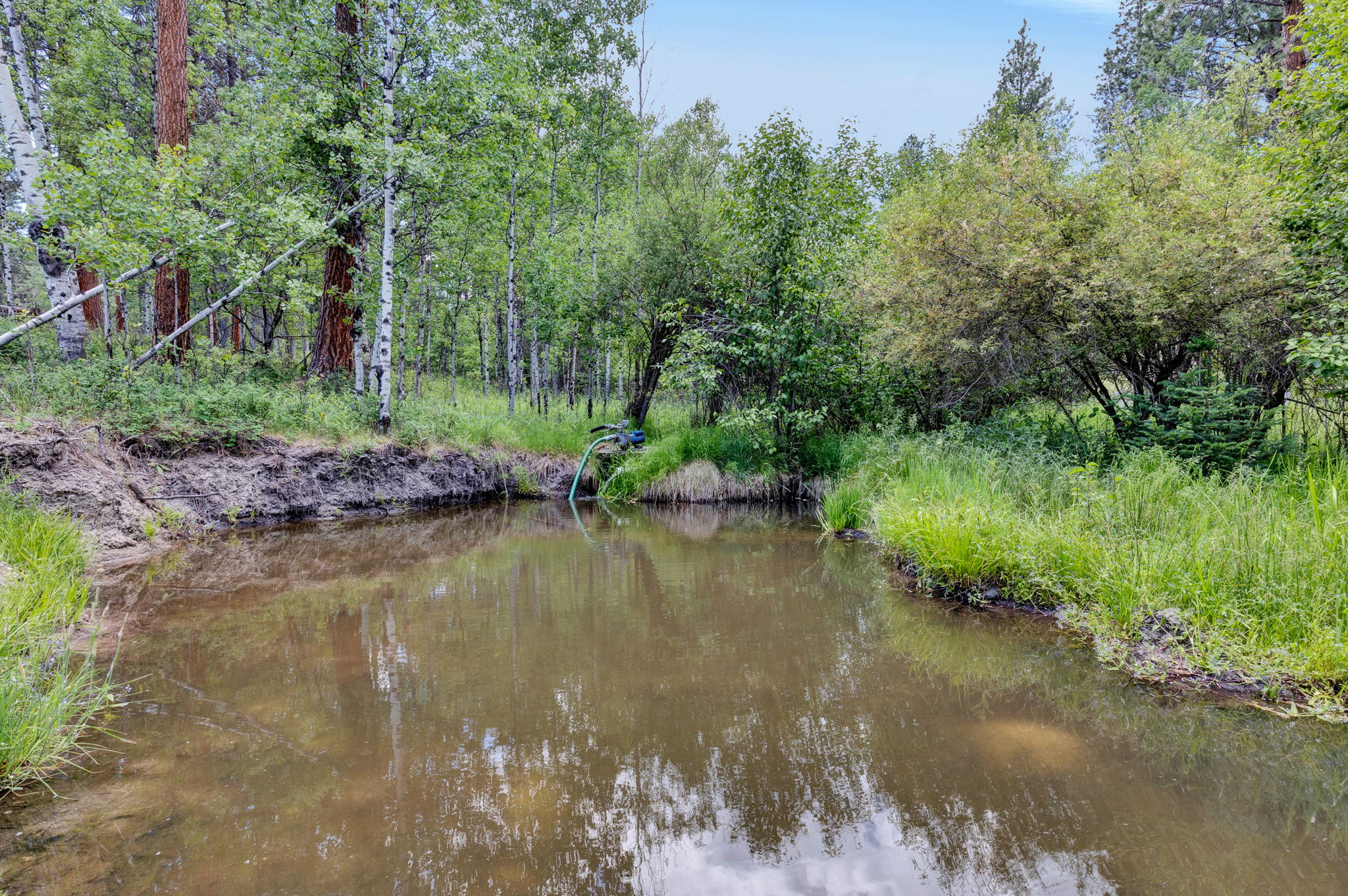 1862 Mountain Meadow Lane