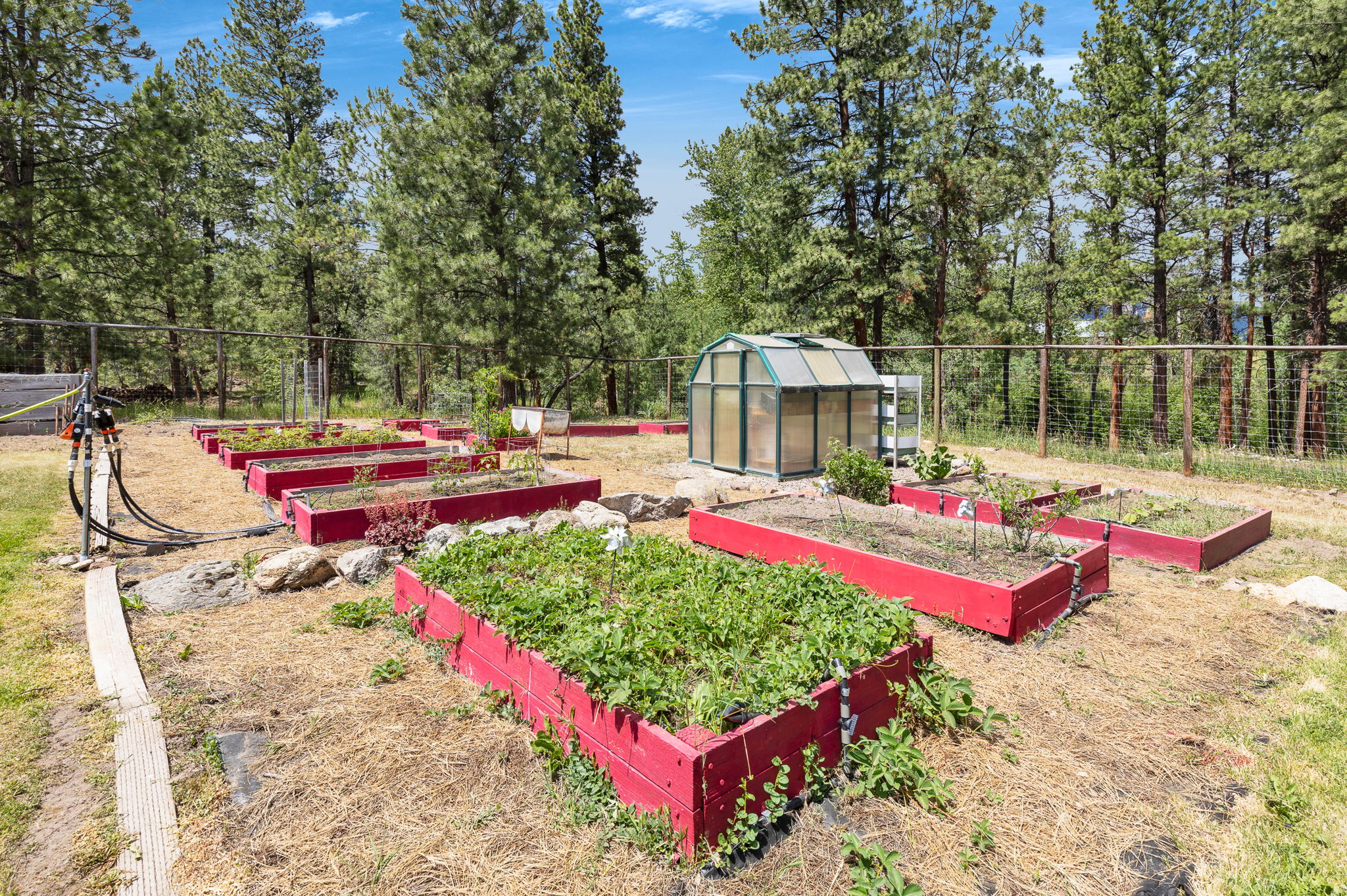 1862 Mountain Meadow Lane