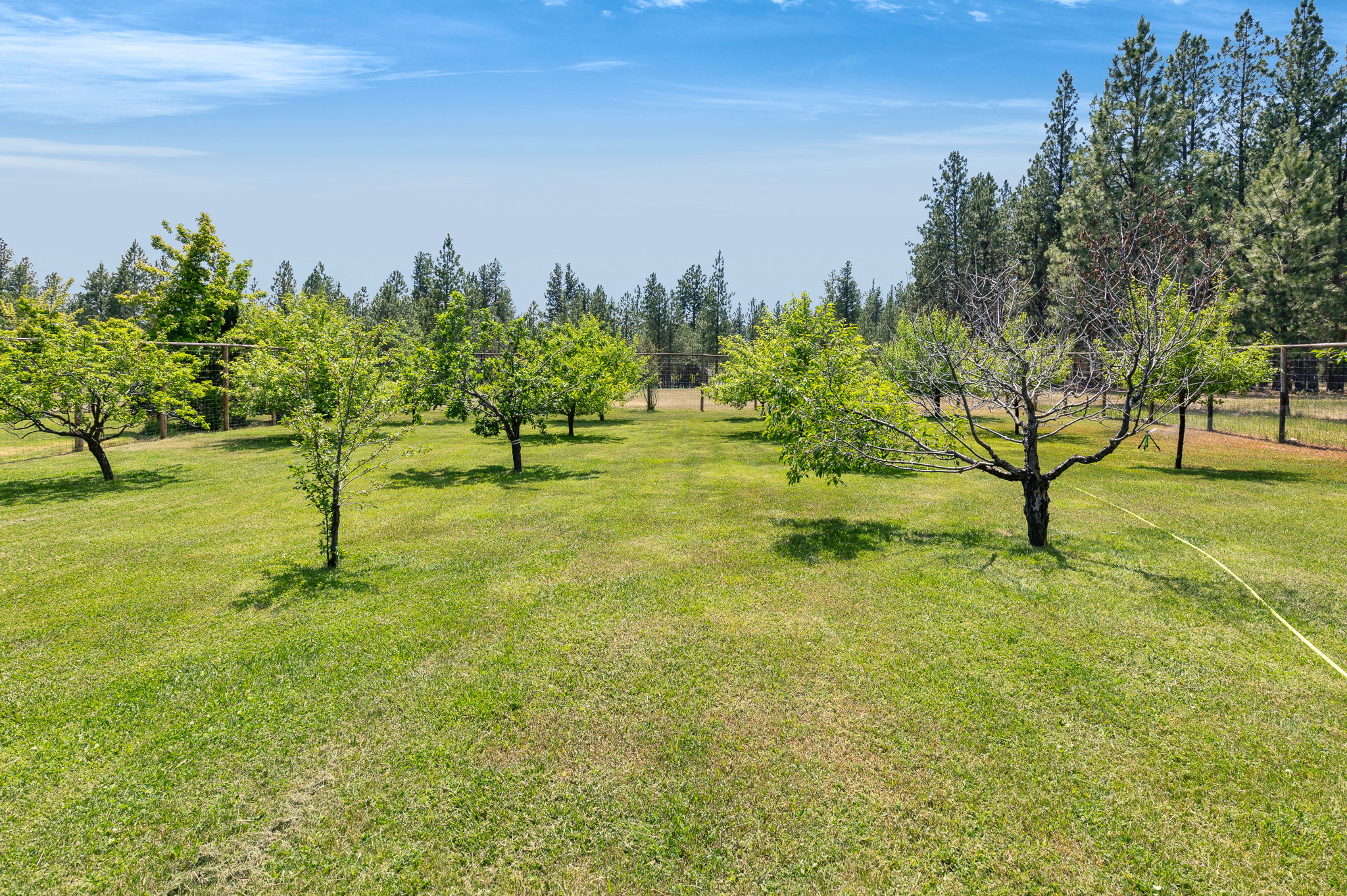 1862 Mountain Meadow Lane