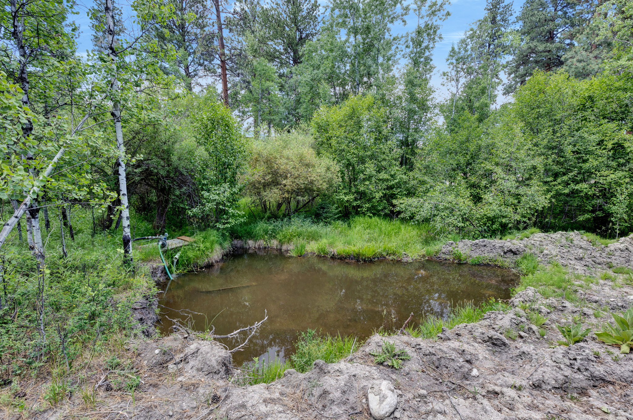 1862 Mountain Meadow Lane