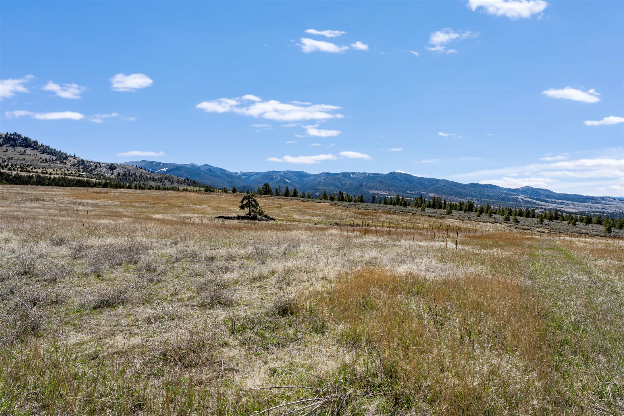 Tract 271 Sapphire Ranch Trail