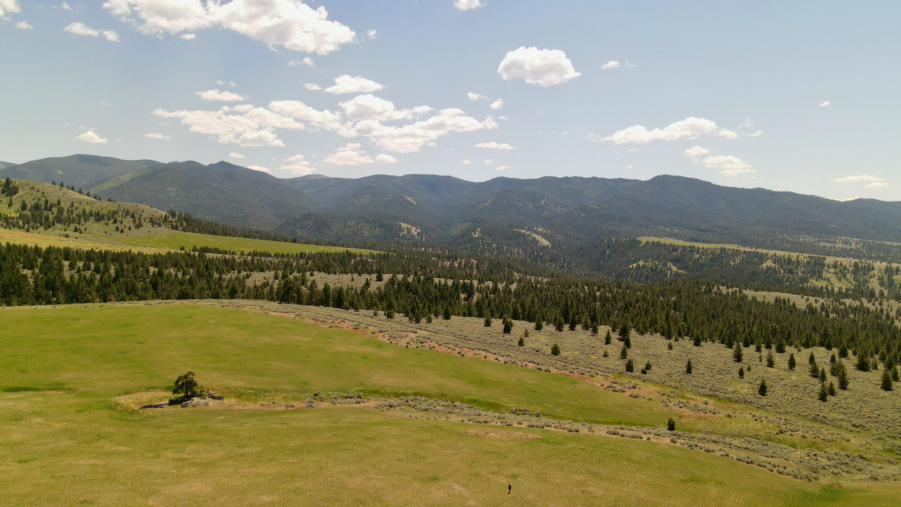 Tract 271 Sapphire Ranch Trail