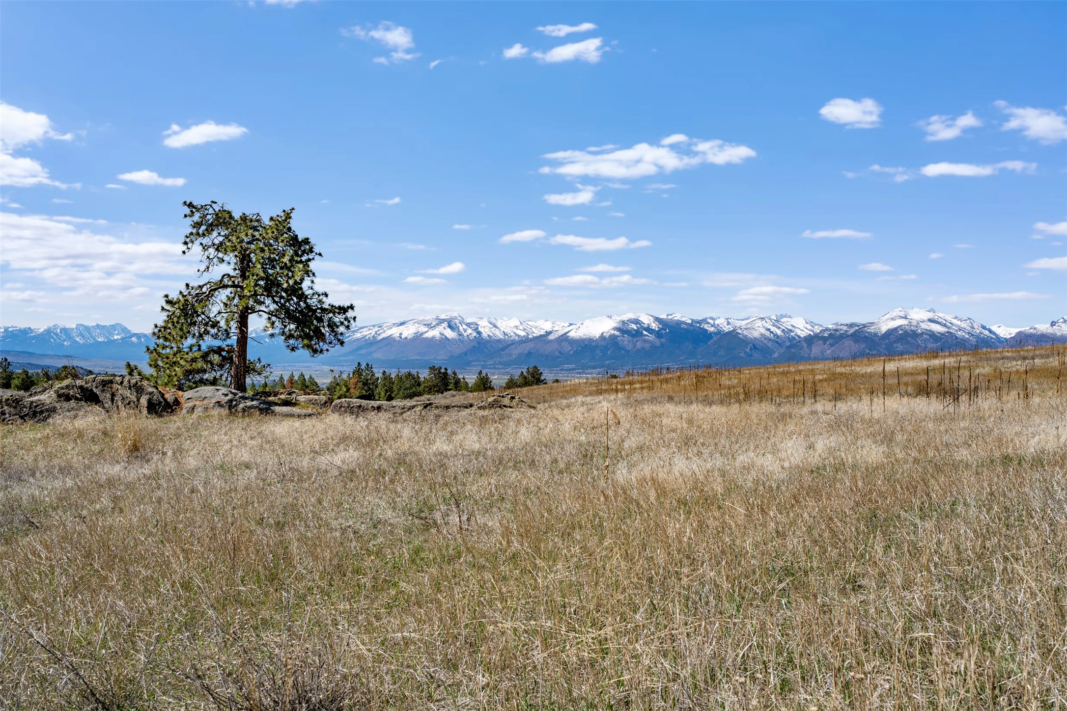 Tract 271 Sapphire Ranch Trail