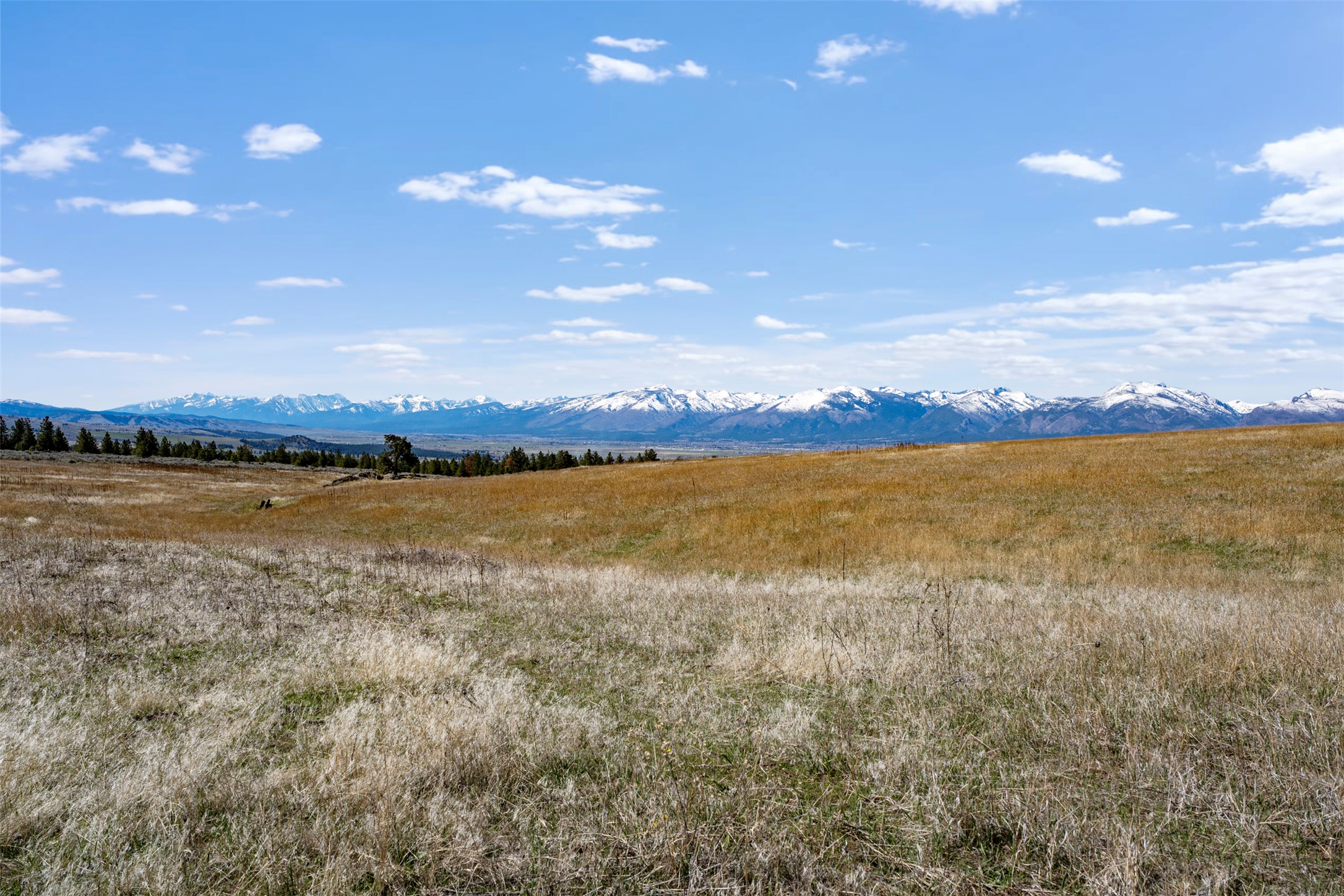 Tract 271 Sapphire Ranch Trail