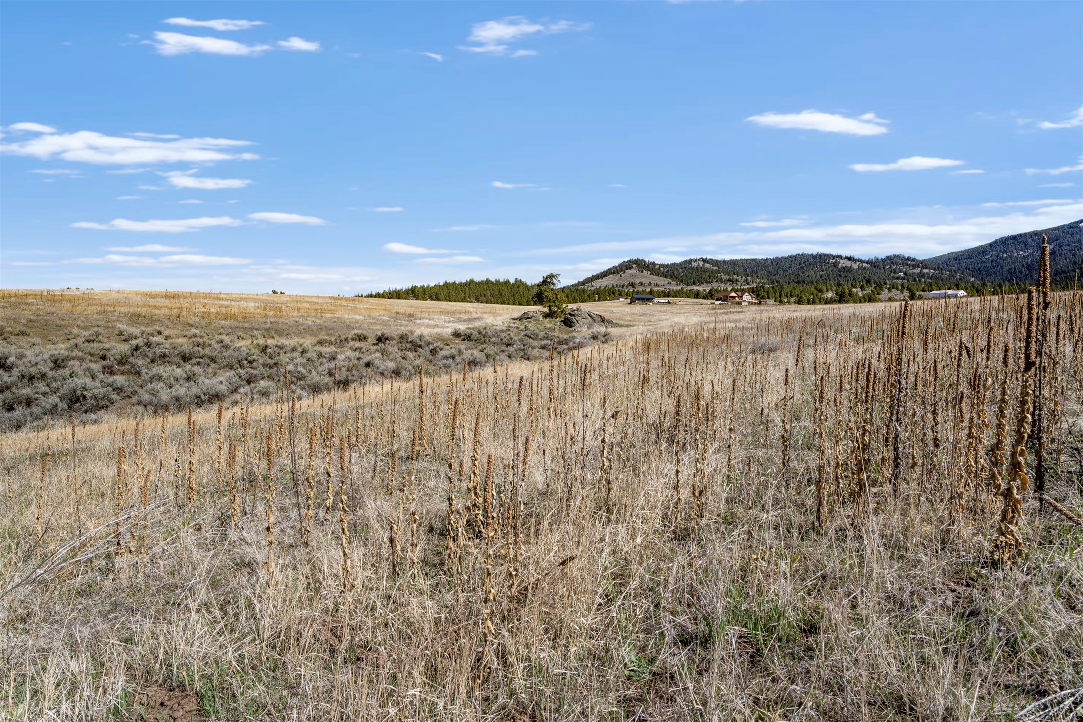 Tract 271 Sapphire Ranch Trail