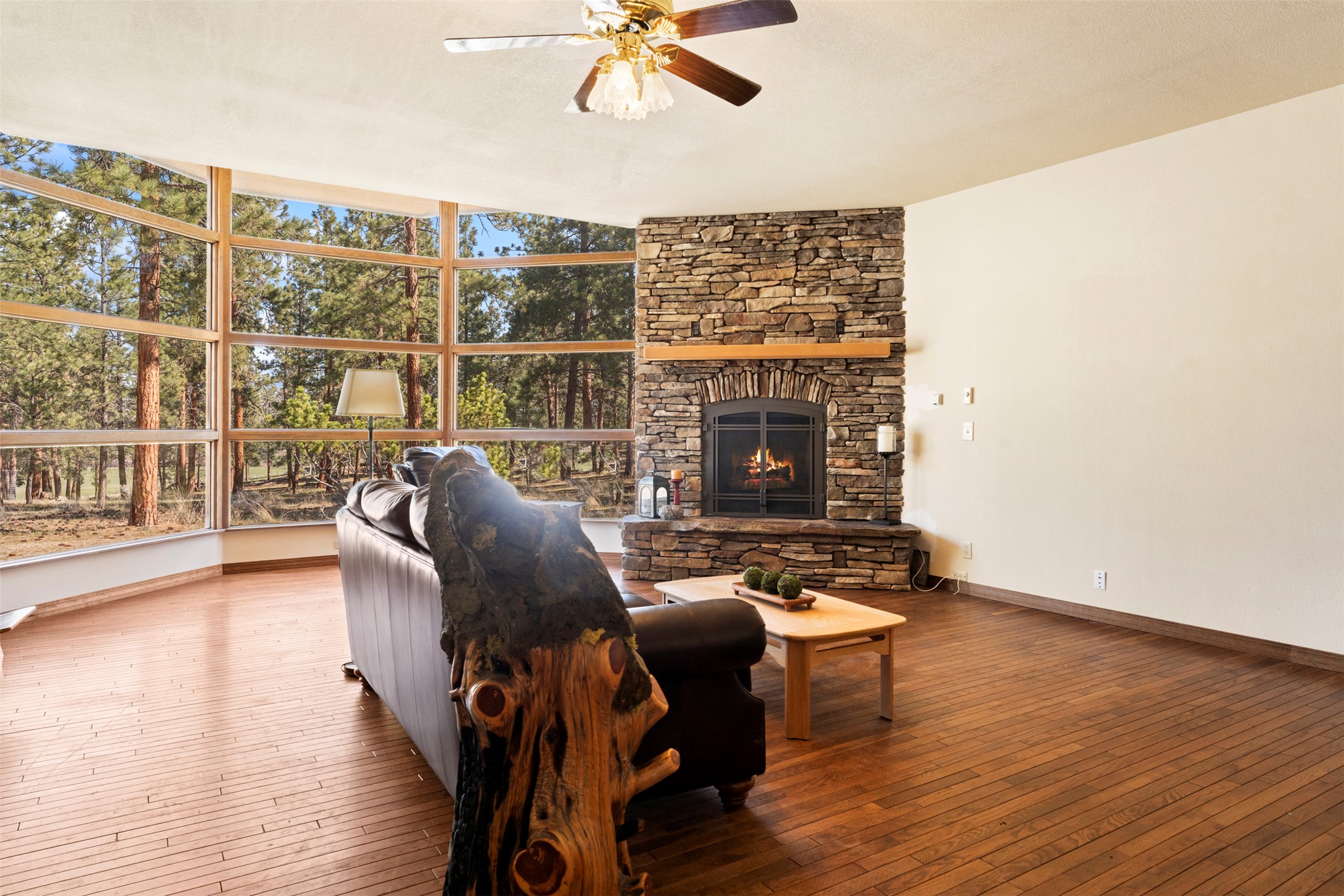 912 Weber Butte Trail