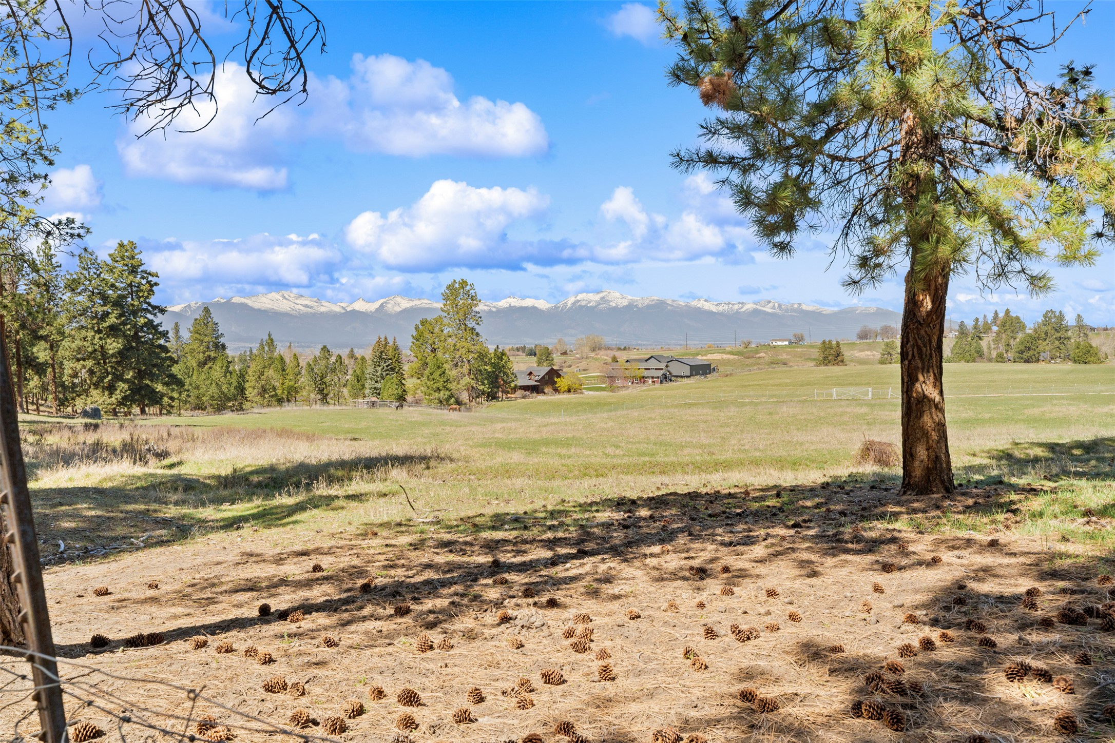 912 Weber Butte Trail