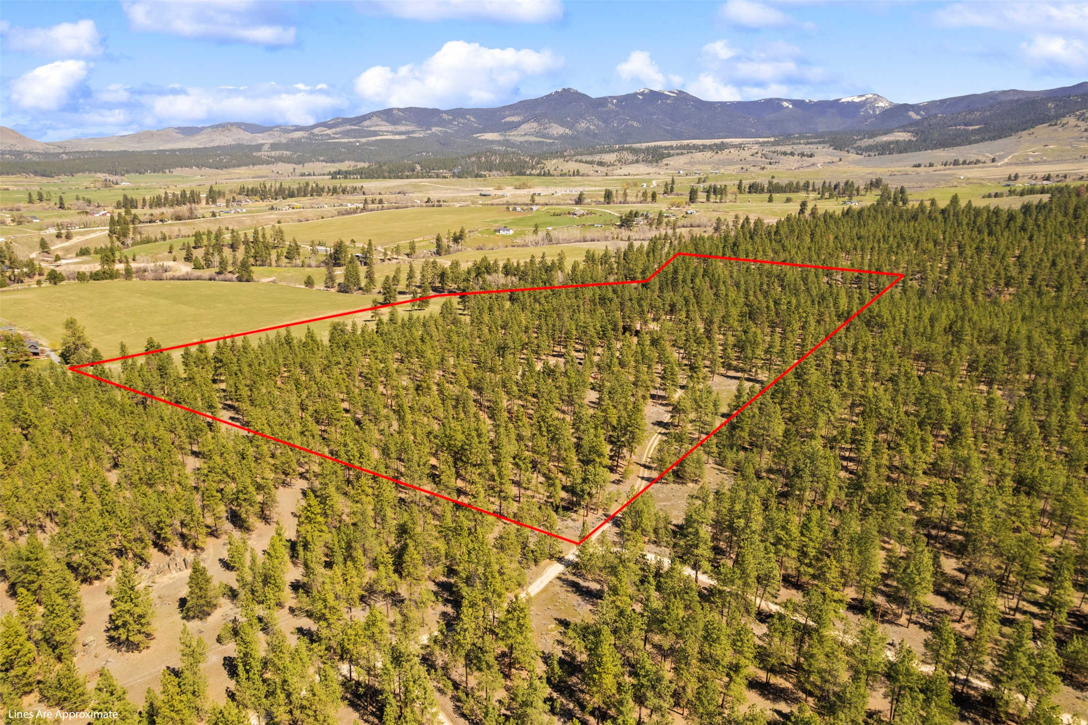 912 Weber Butte Trail