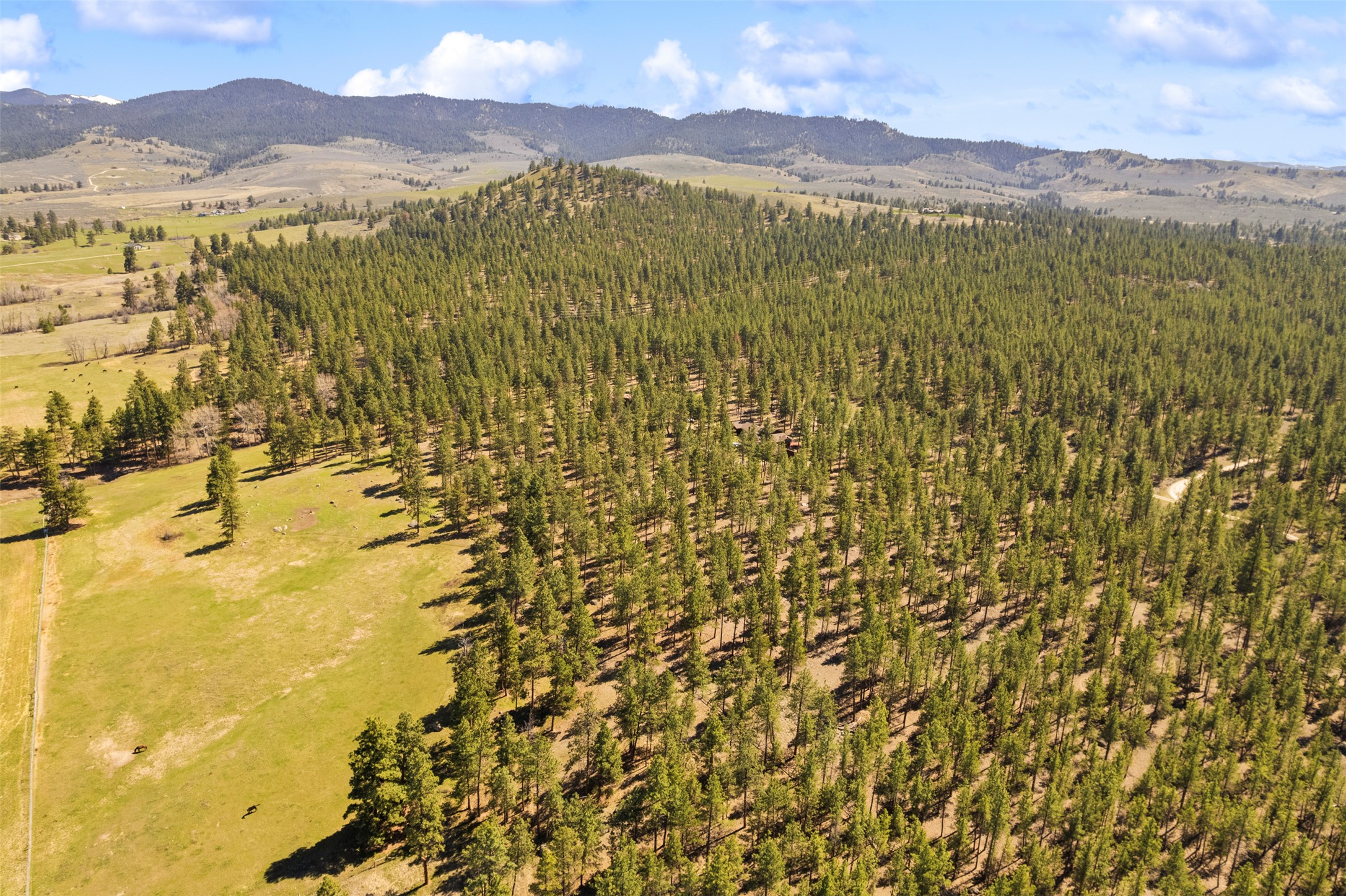 912 Weber Butte Trail