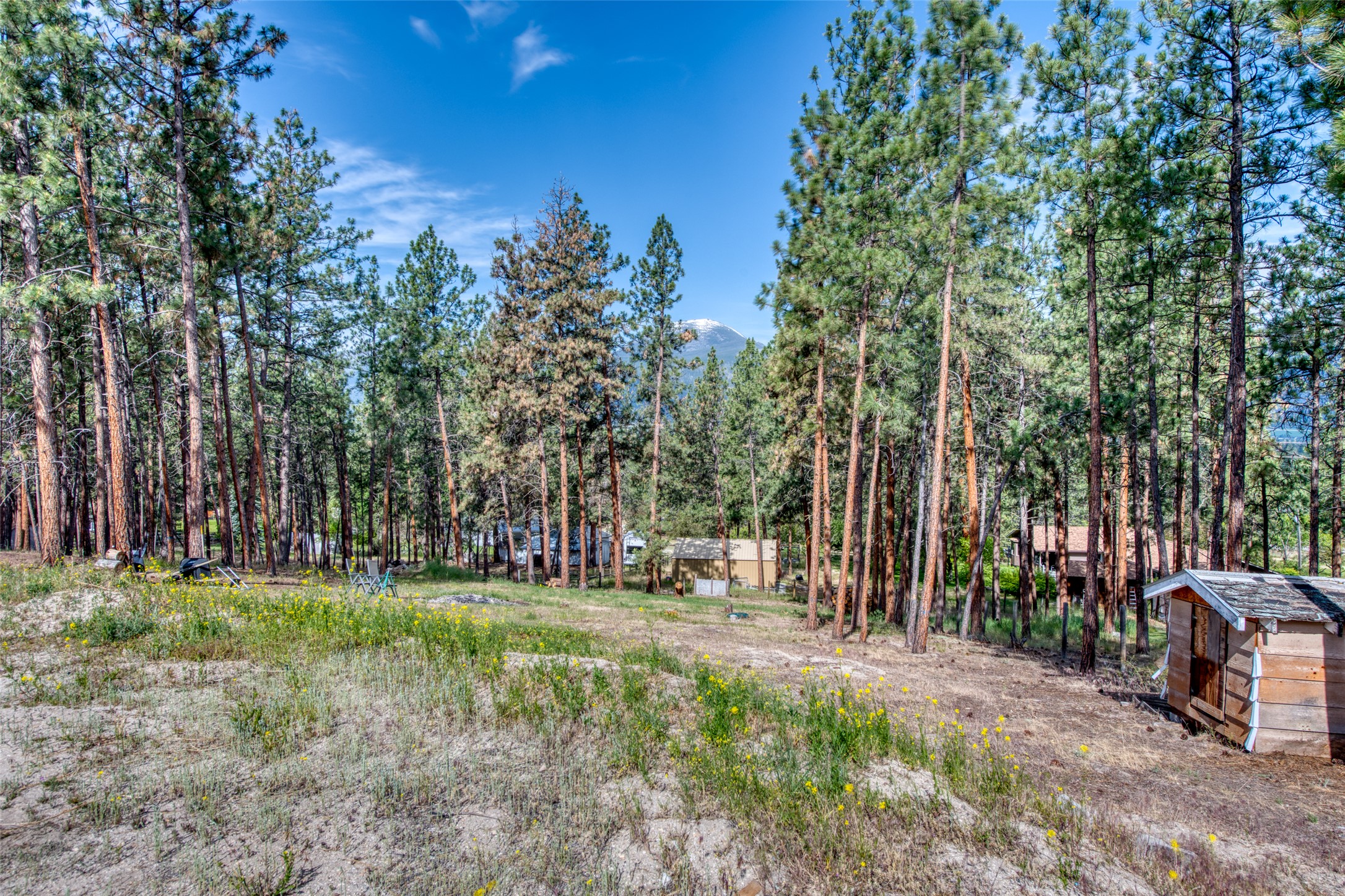 845 Pineview Drive
