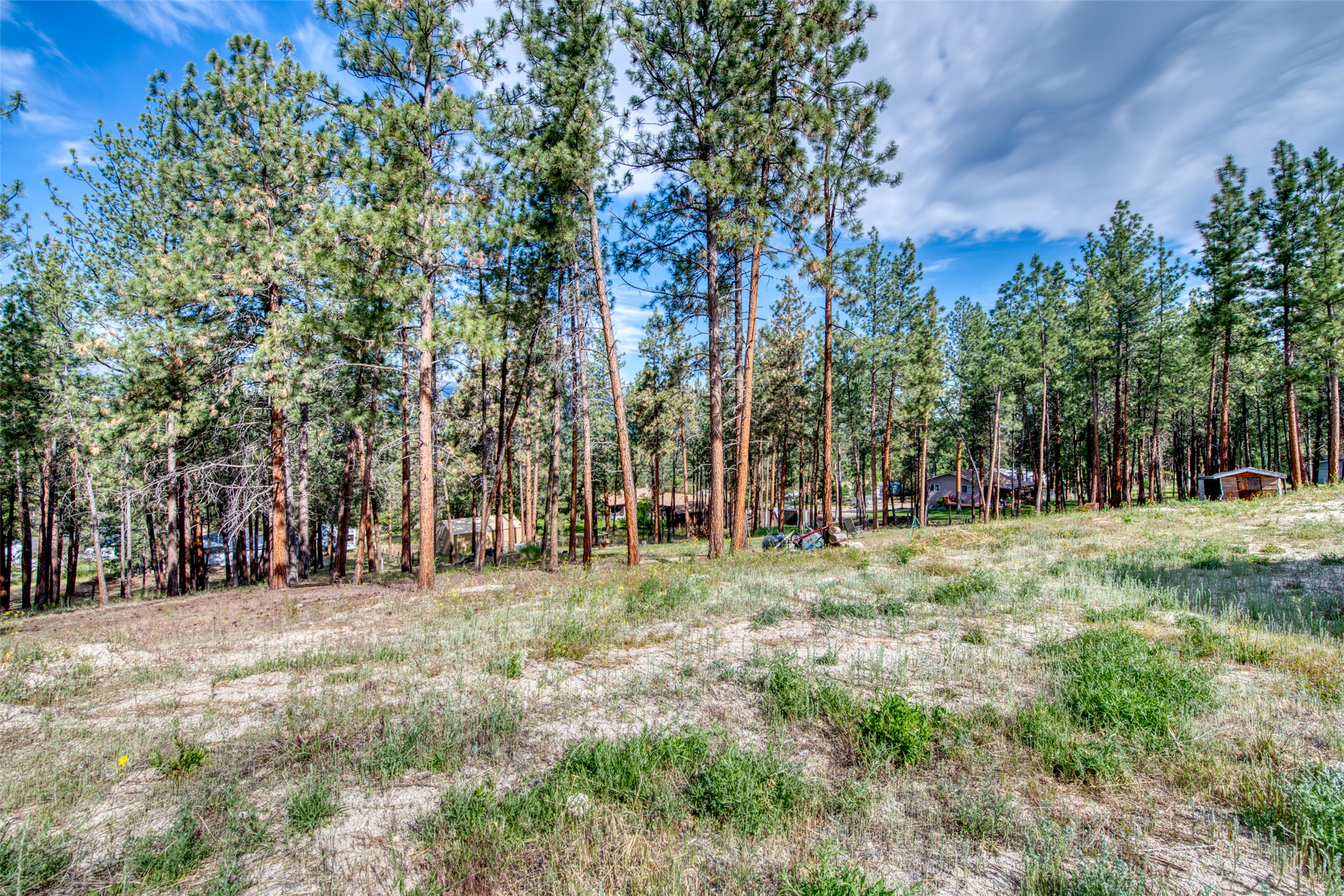 845 Pineview Drive