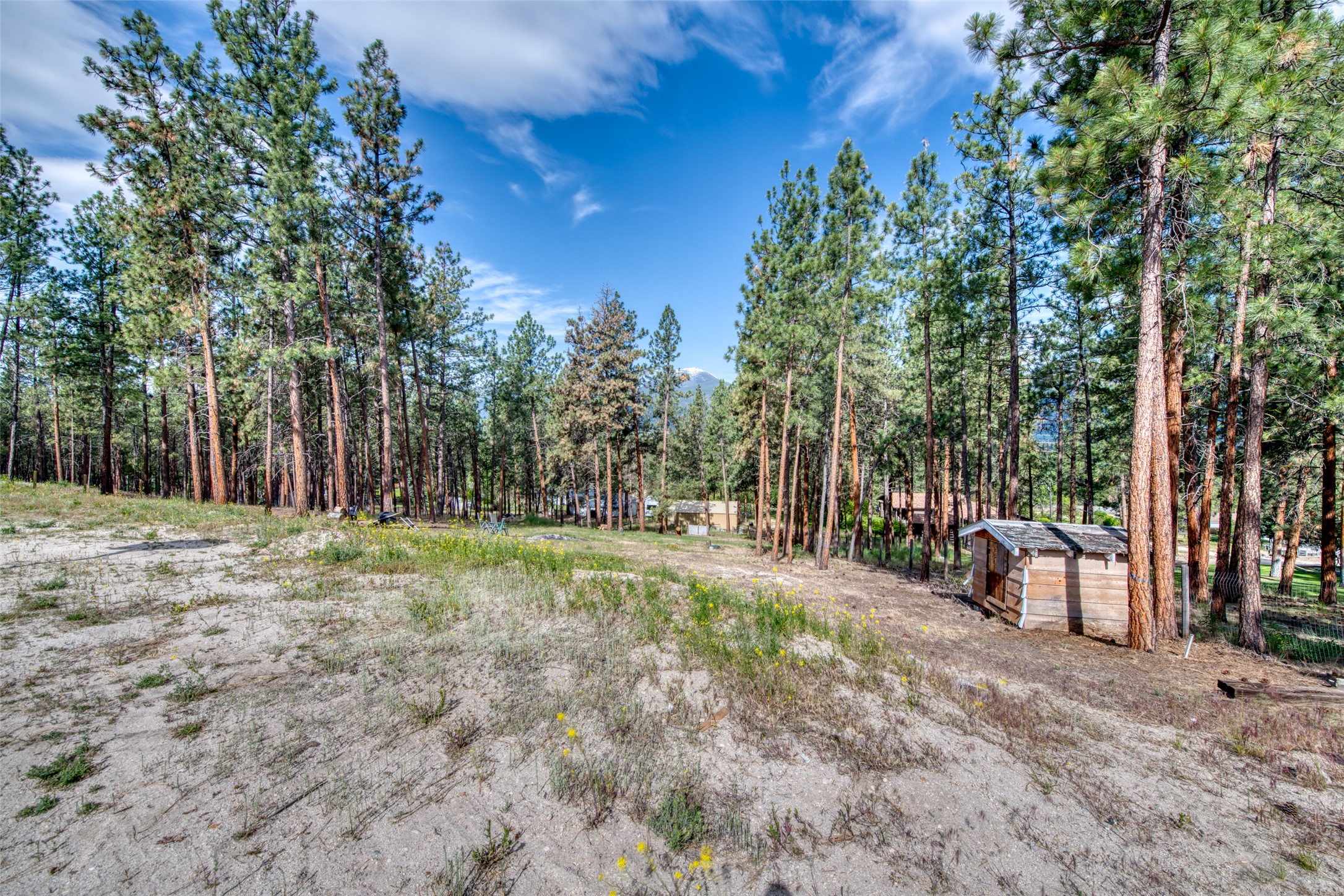 845 Pineview Drive