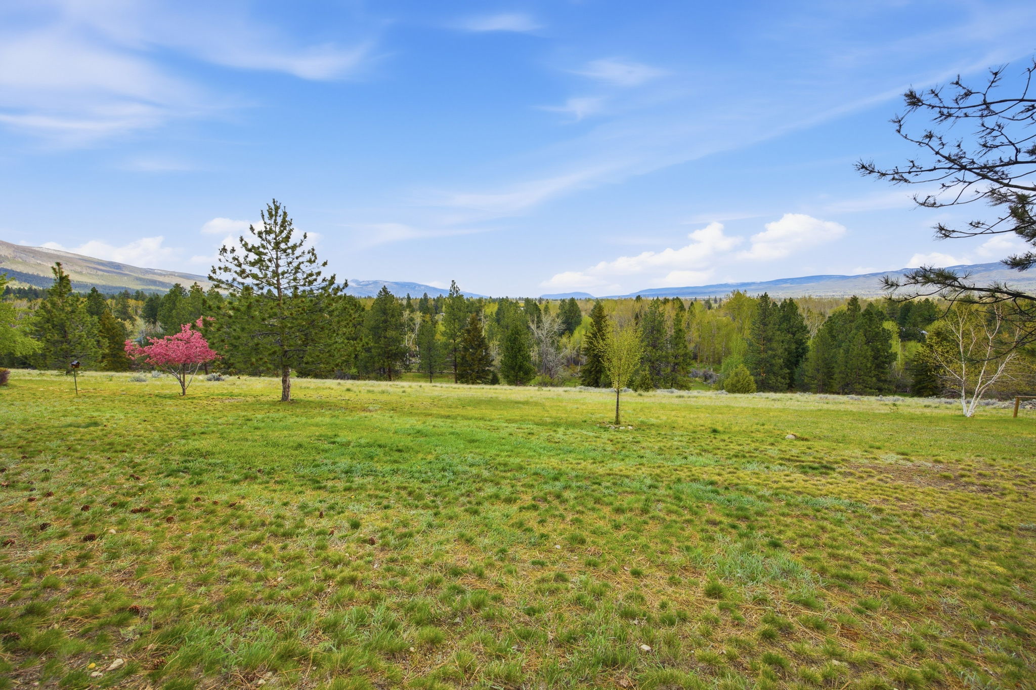 328 Westhills Way