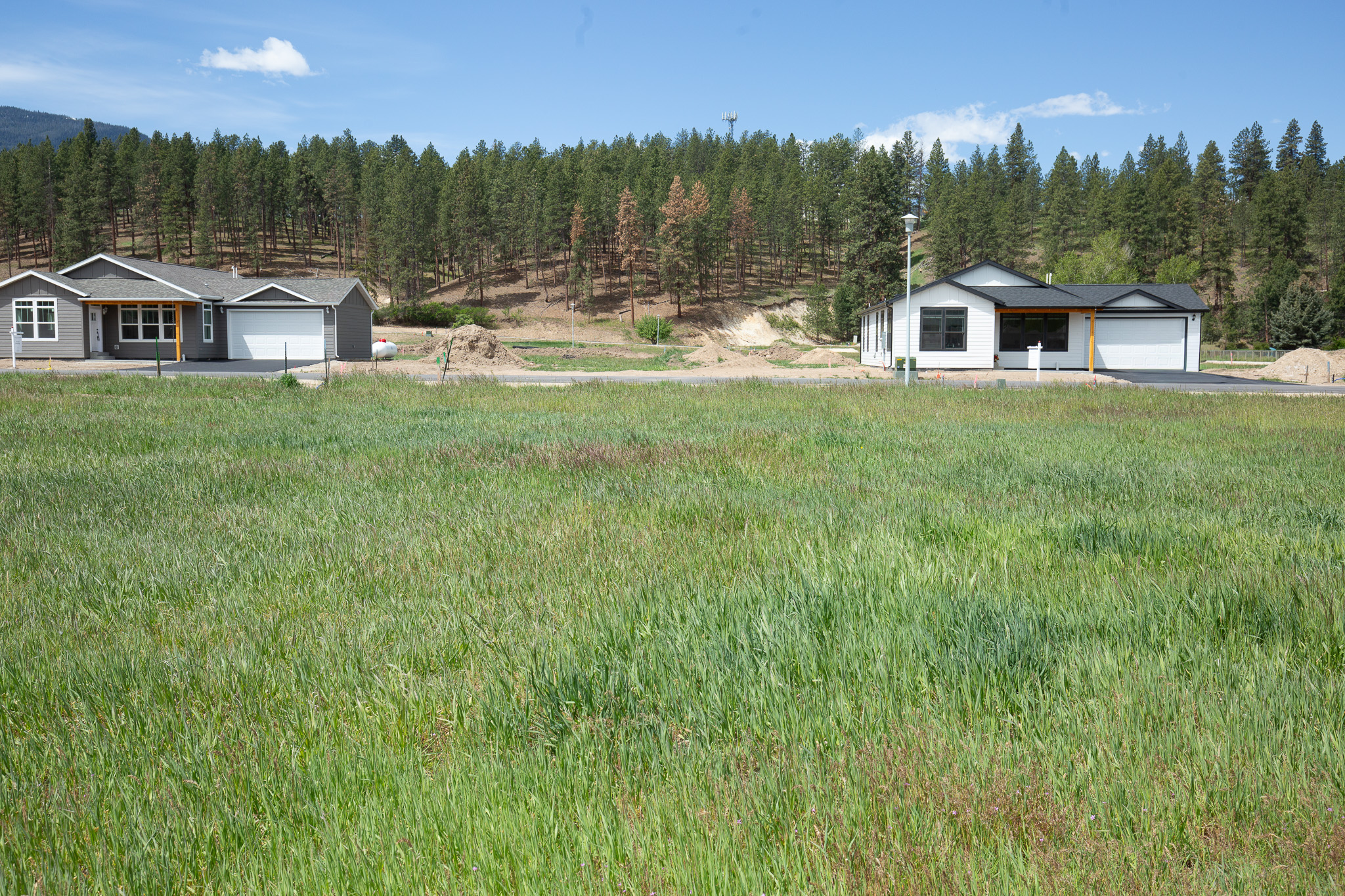117 Nicholson Way