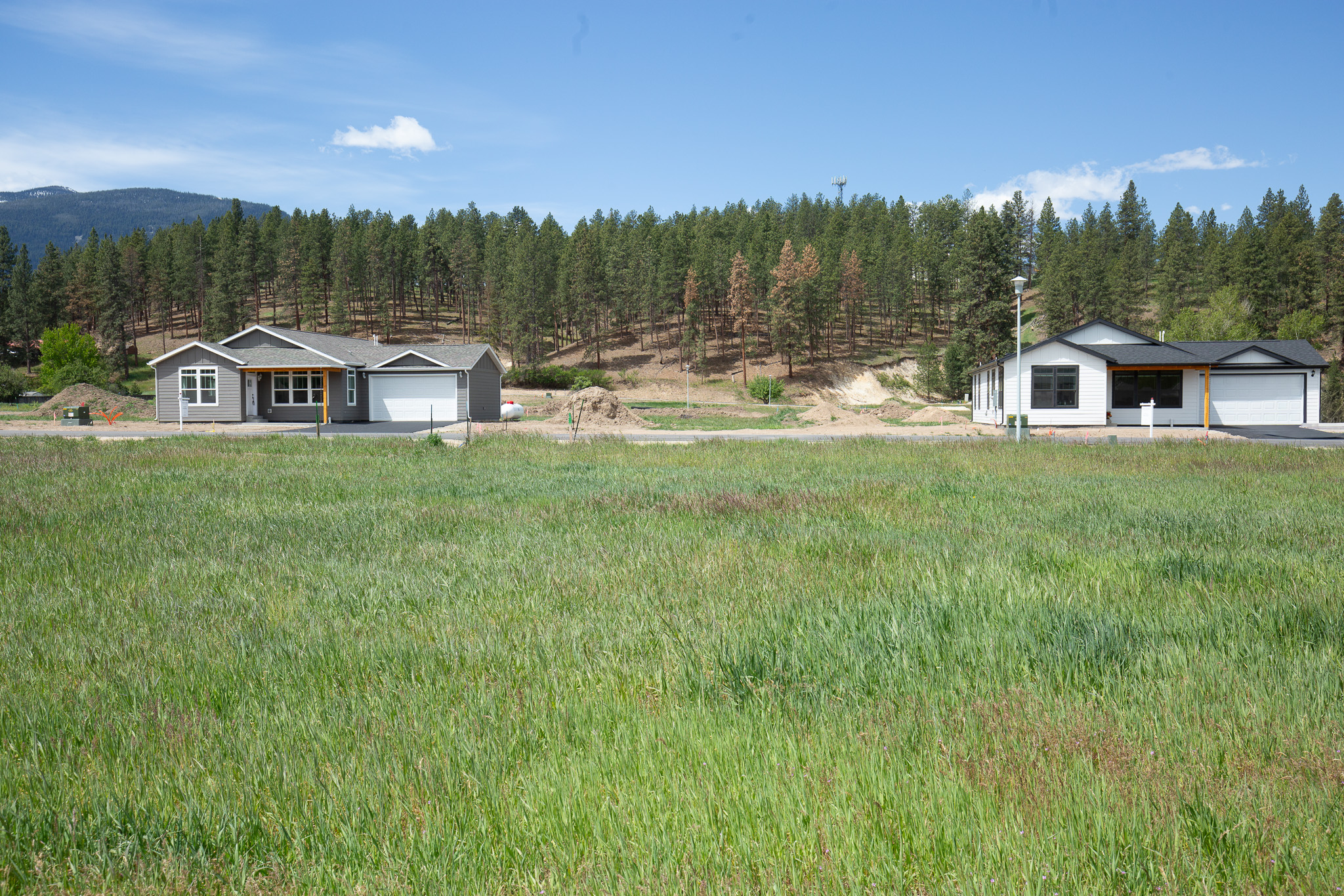 117 Nicholson Way