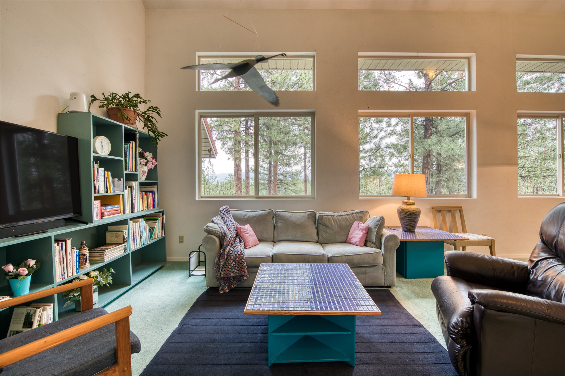 219 Peaceful Drive