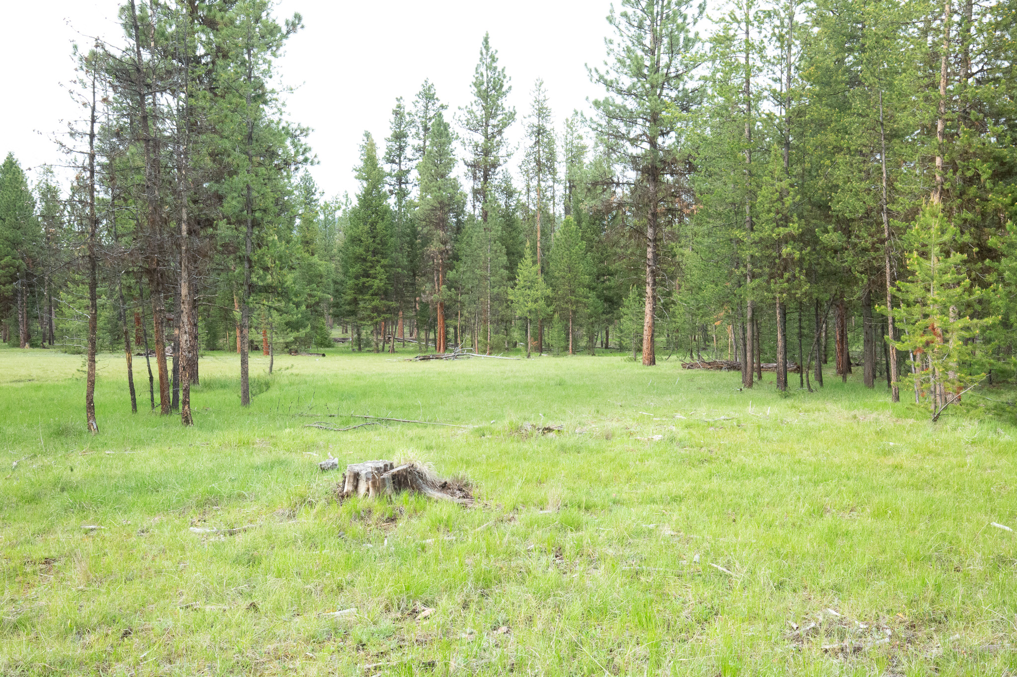Tract A West Meadow Road