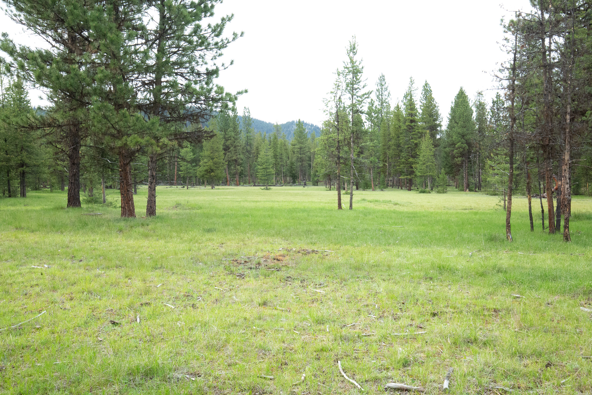 Tract A West Meadow Road