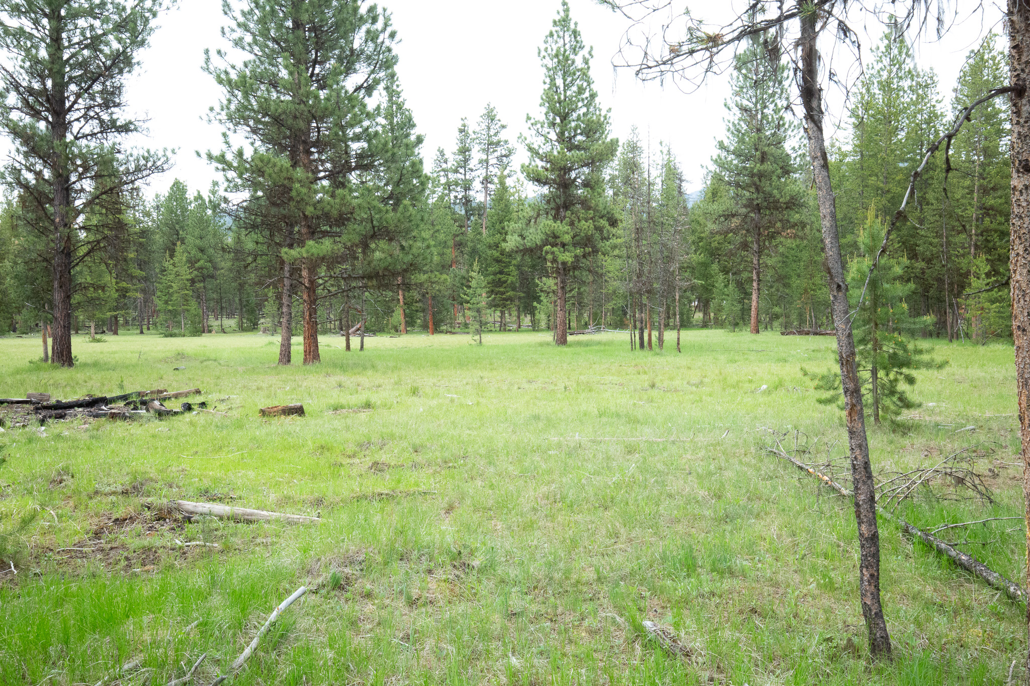 Tract A West Meadow Road