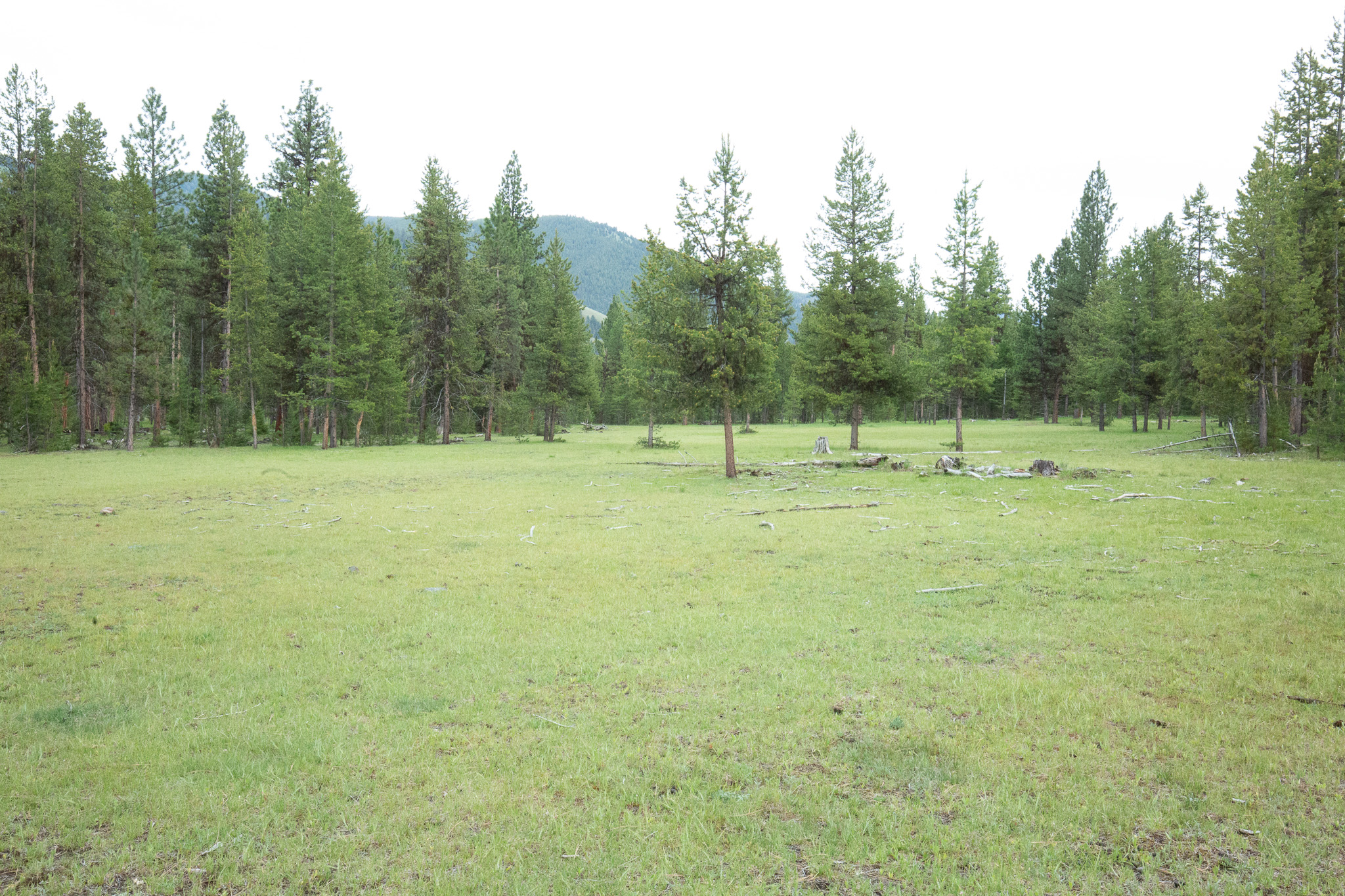Tract A West Meadow Road