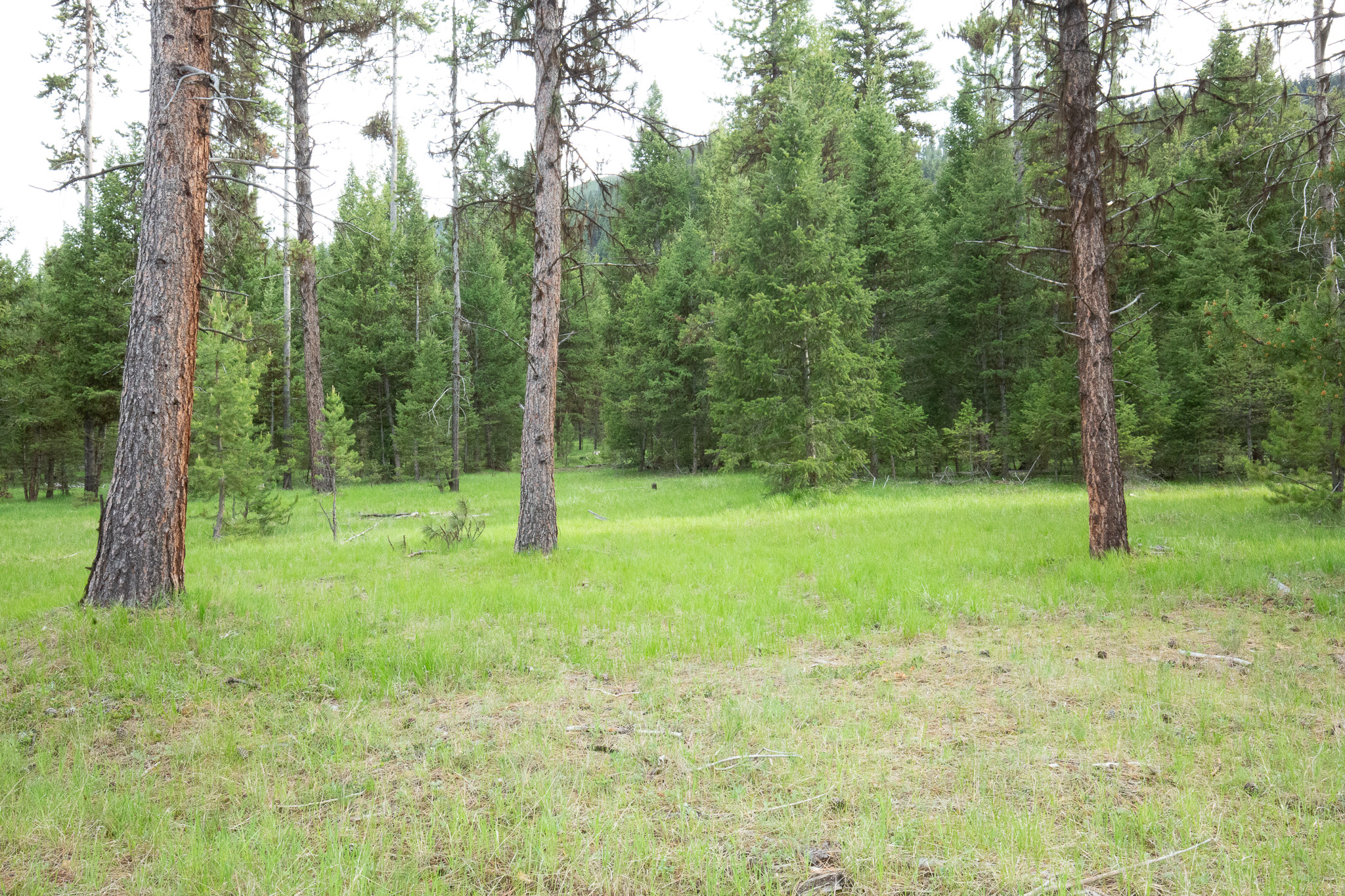 Tract A West Meadow Road