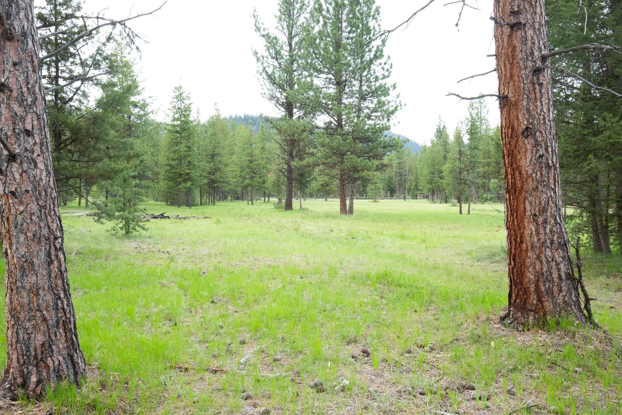 Tract A West Meadow Road