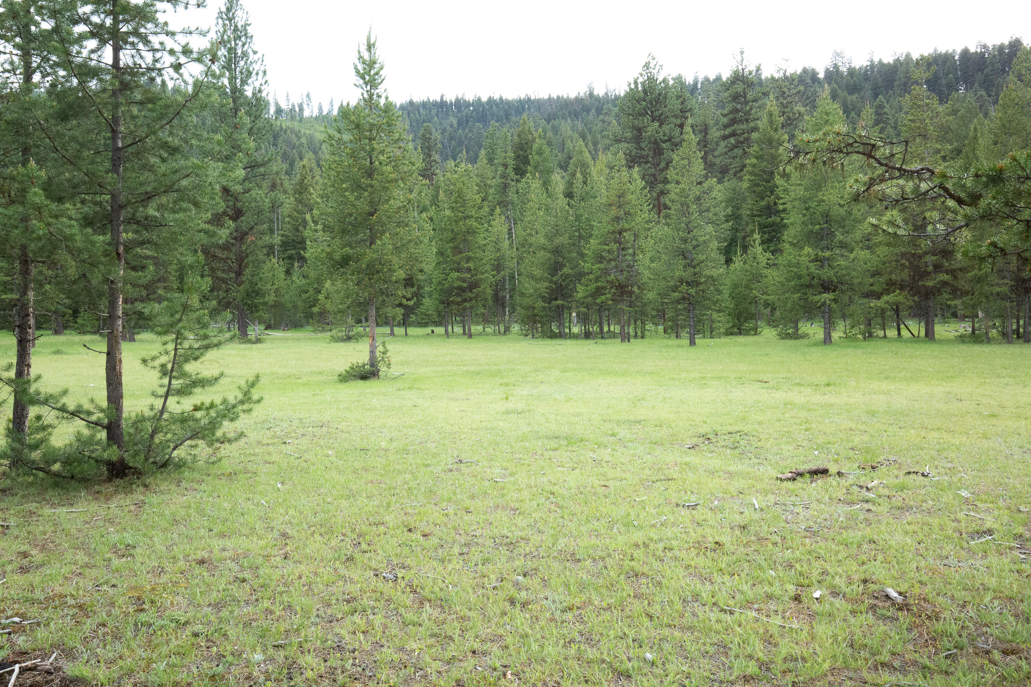 Tract A West Meadow Road