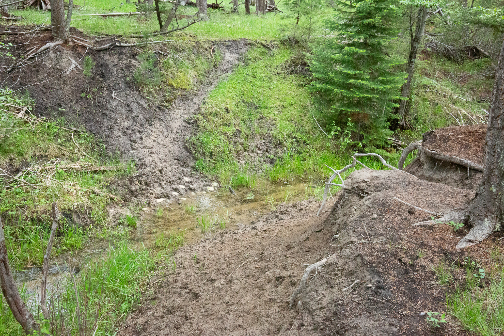 Tract A West Meadow Road