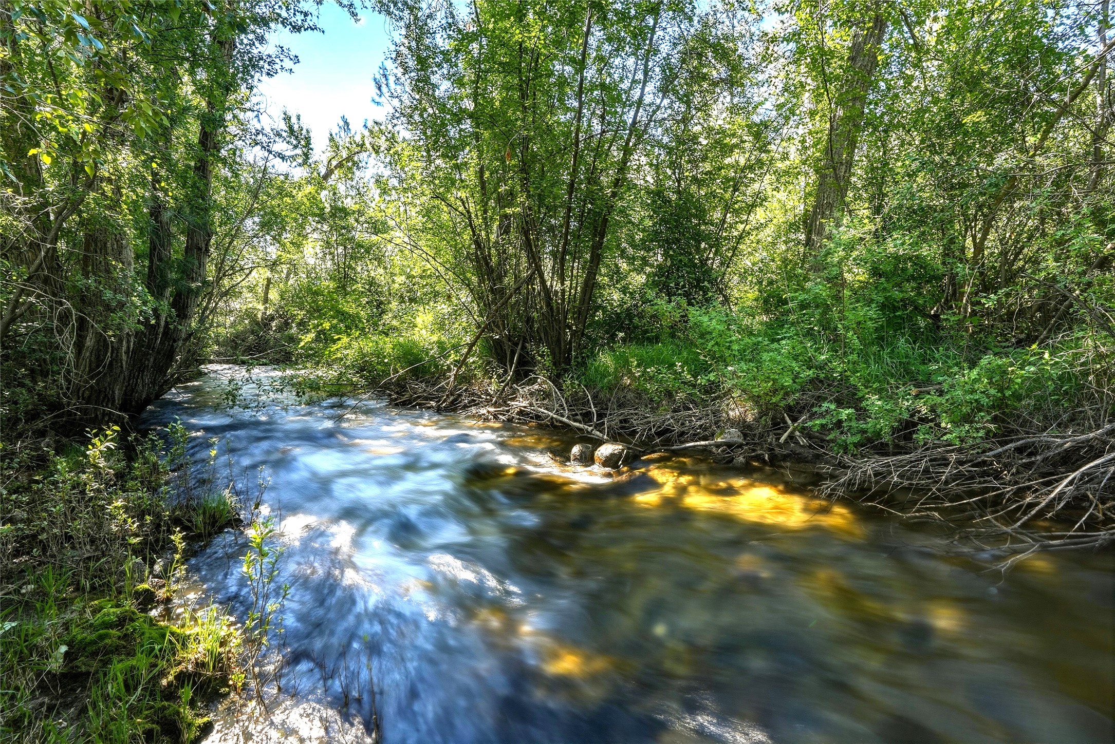 2291 Meridian Road