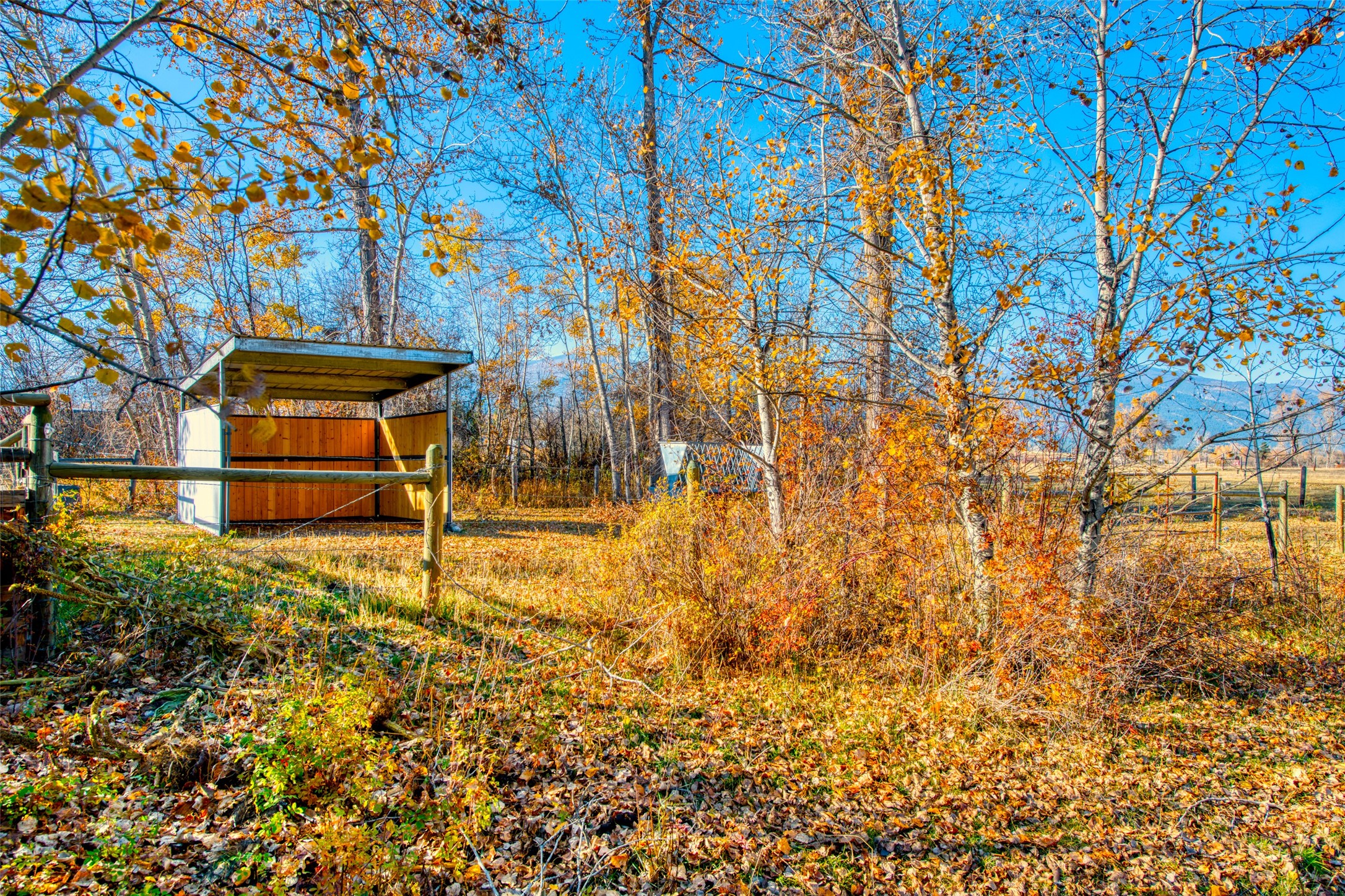 2291 Meridian Road