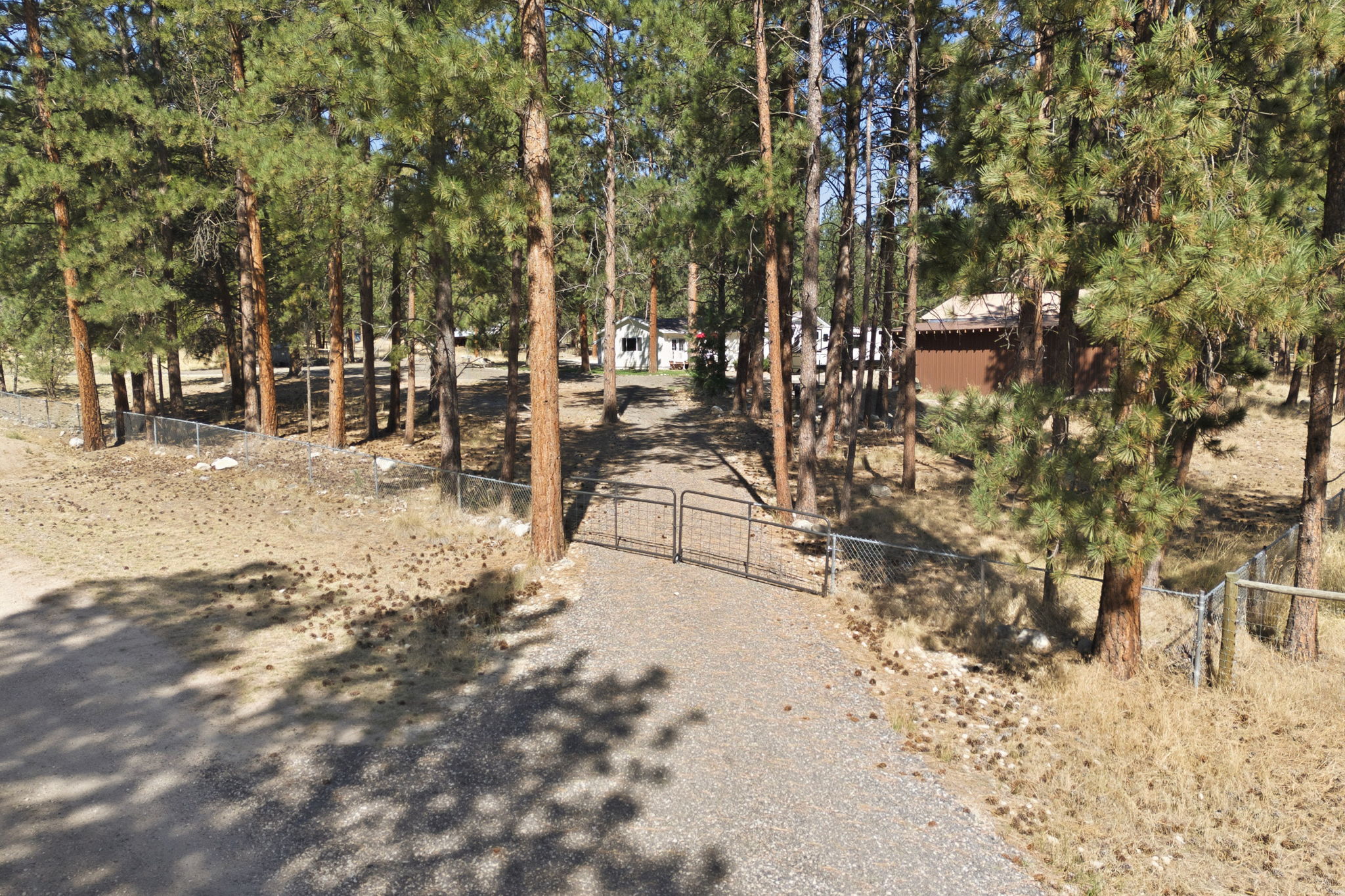 516 Pebble Lane