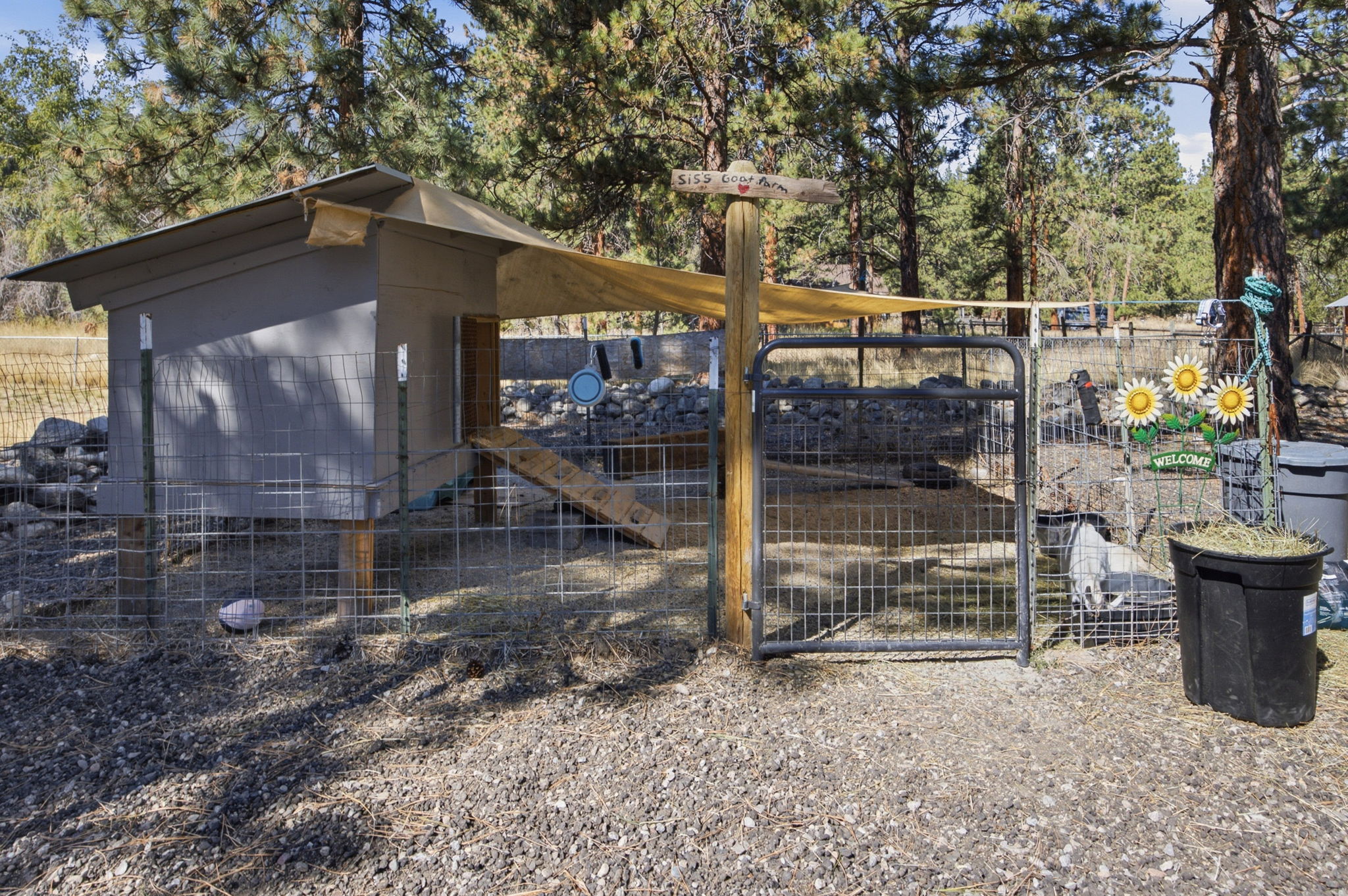516 Pebble Lane