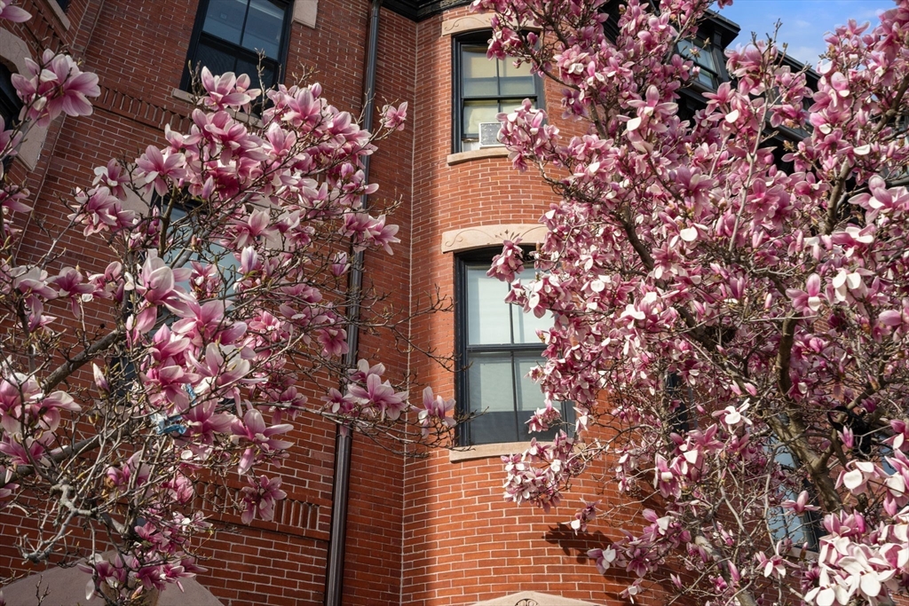 19 Cortes St # 11