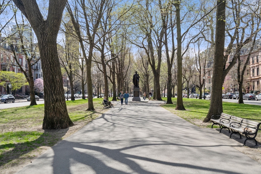 50 Commonwealth Avenue # 404