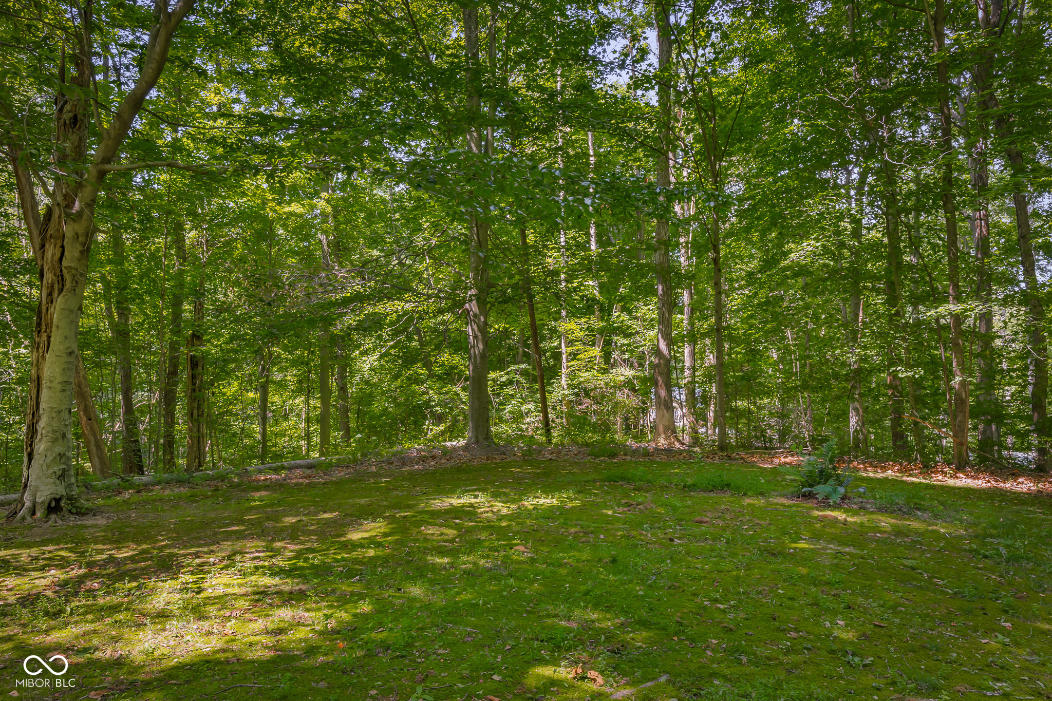 13555 Bellsville Pike