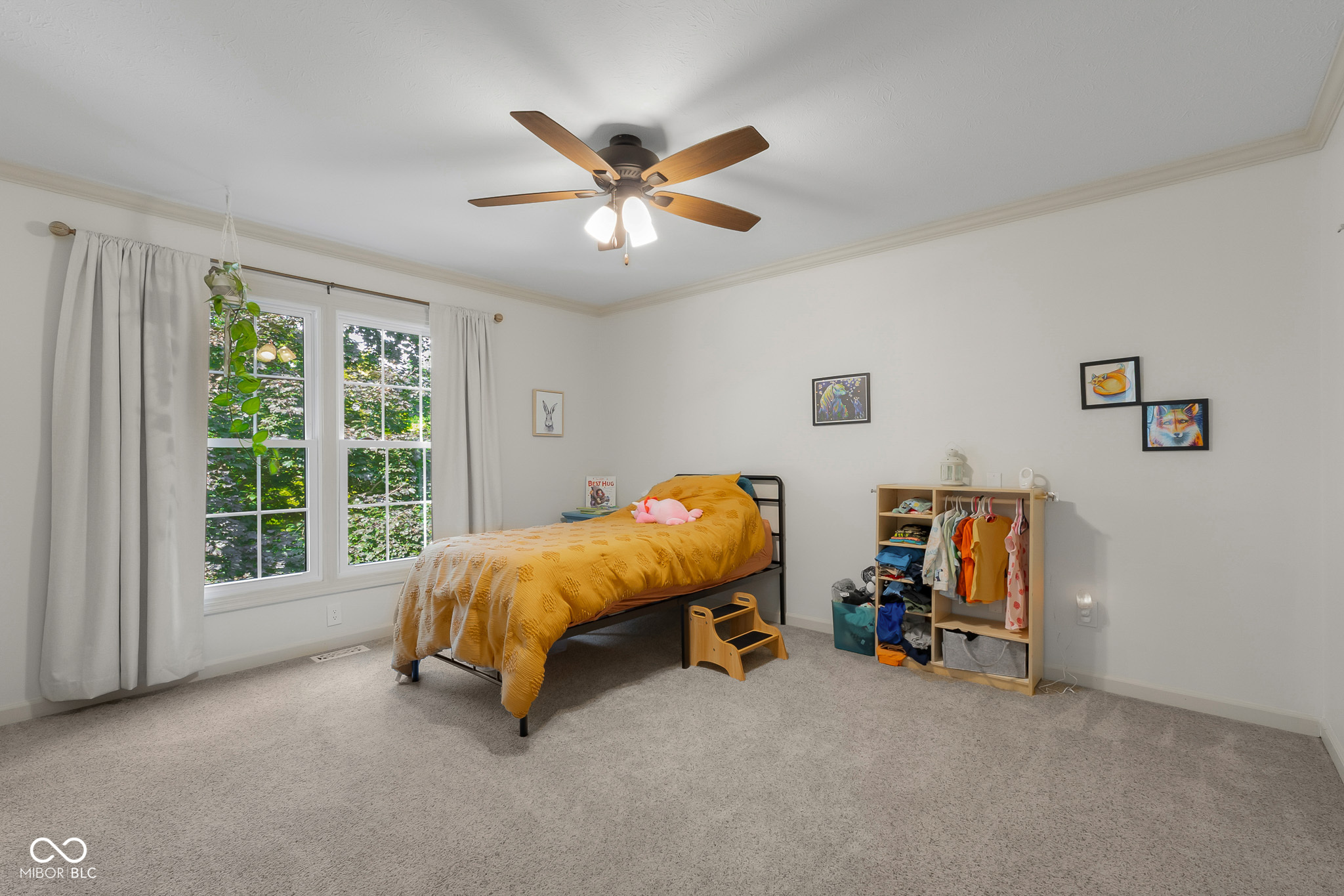 4376 Red Hawk Court