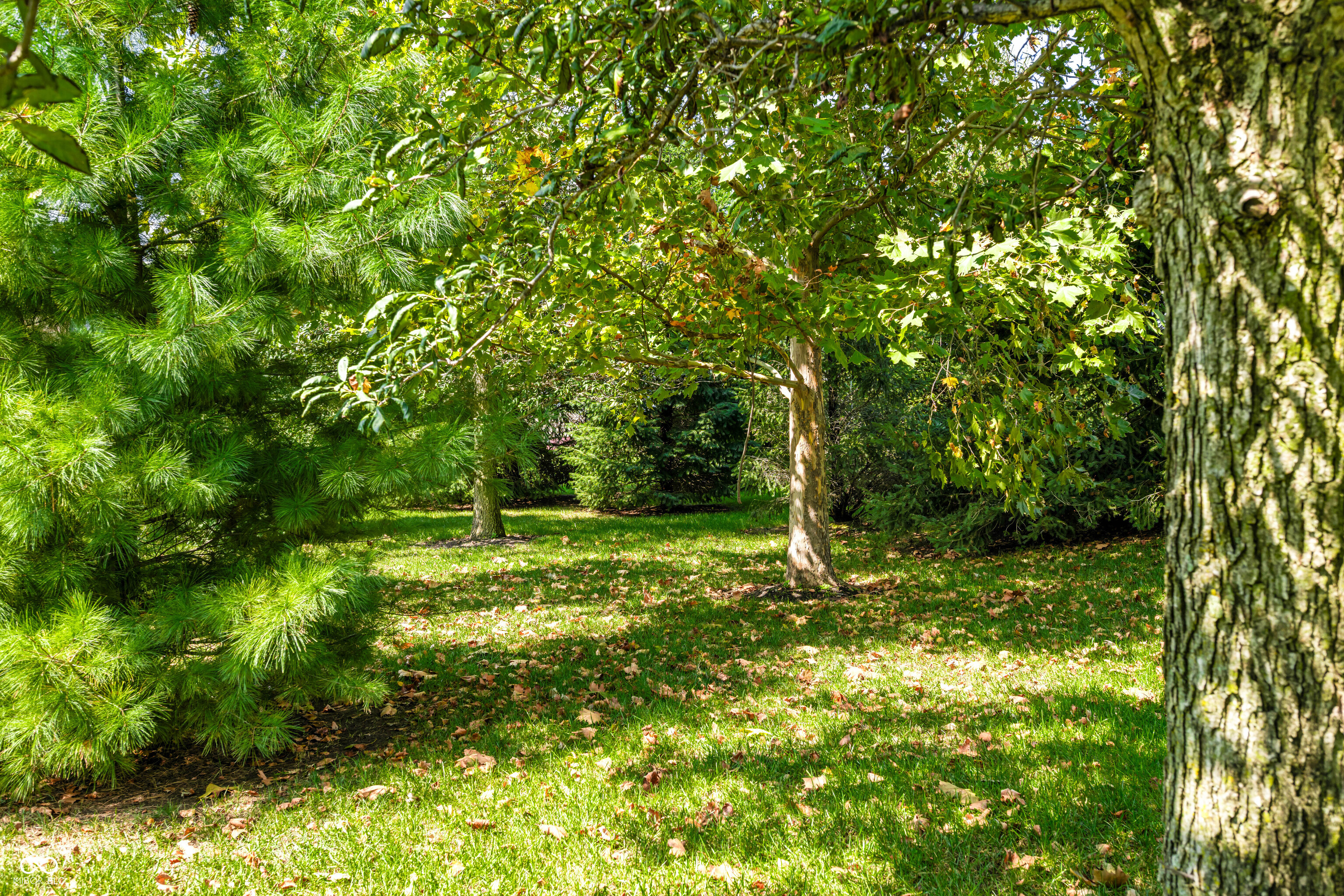 1675 Devonshire Drive