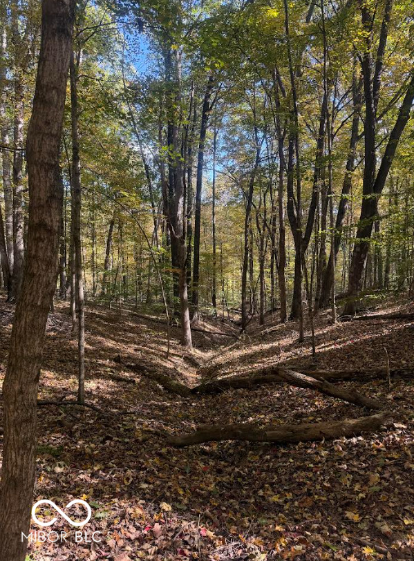 6913 Poplar Grove Road