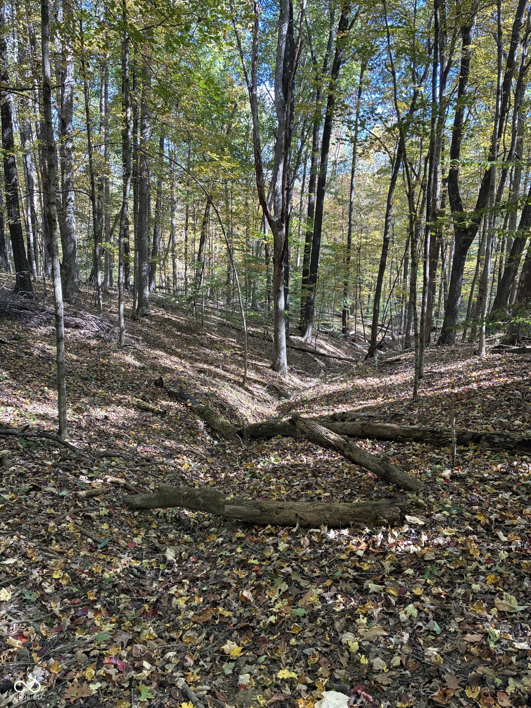 6913 Poplar Grove Road