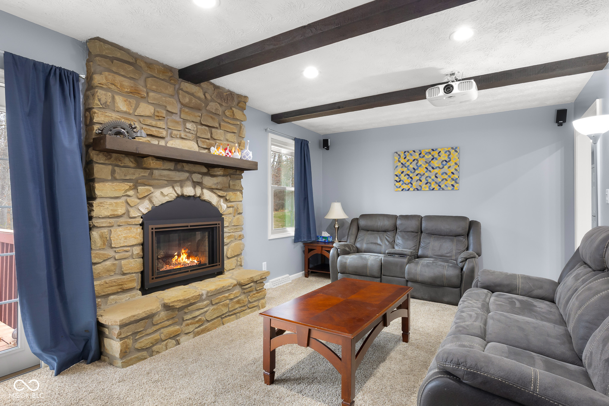 641 Terrace Lake Drive