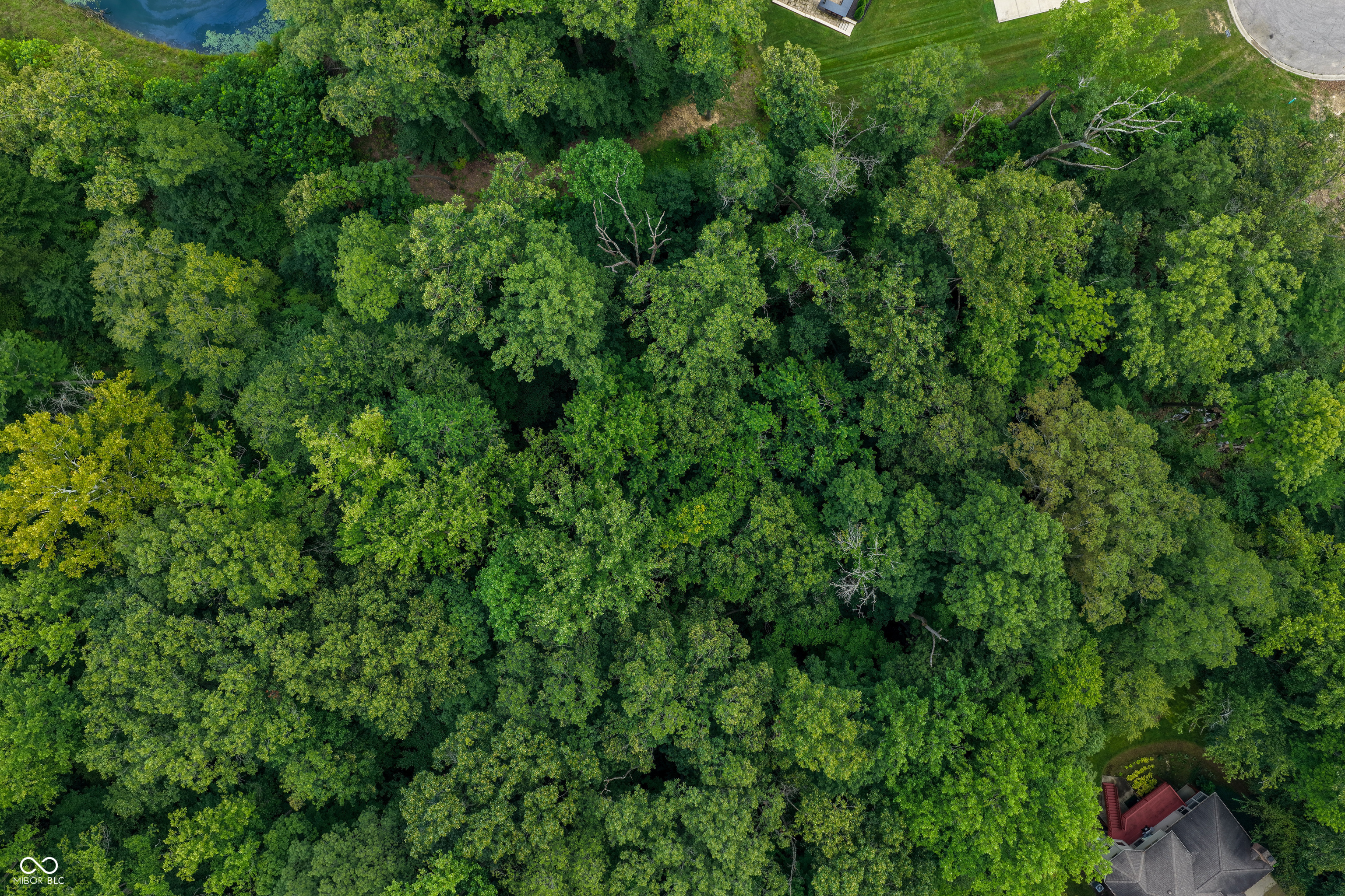 5066 Oak Ridge Trail