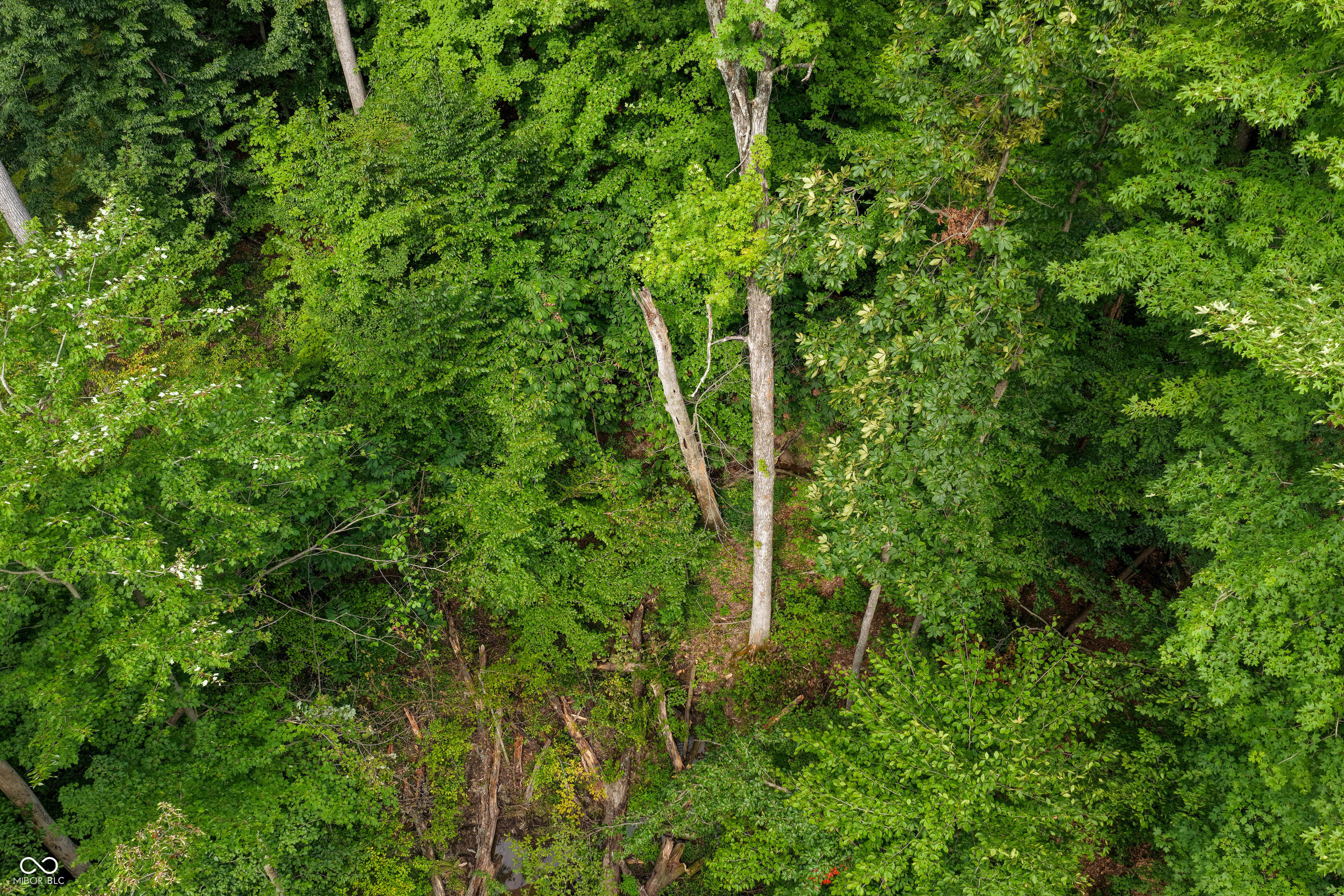 5066 Oak Ridge Trail