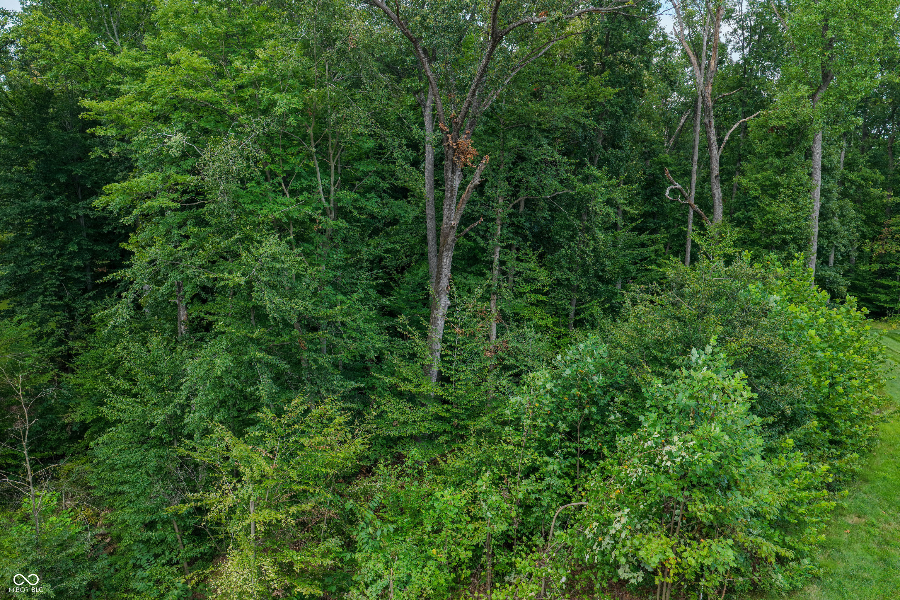 5066 Oak Ridge Trail