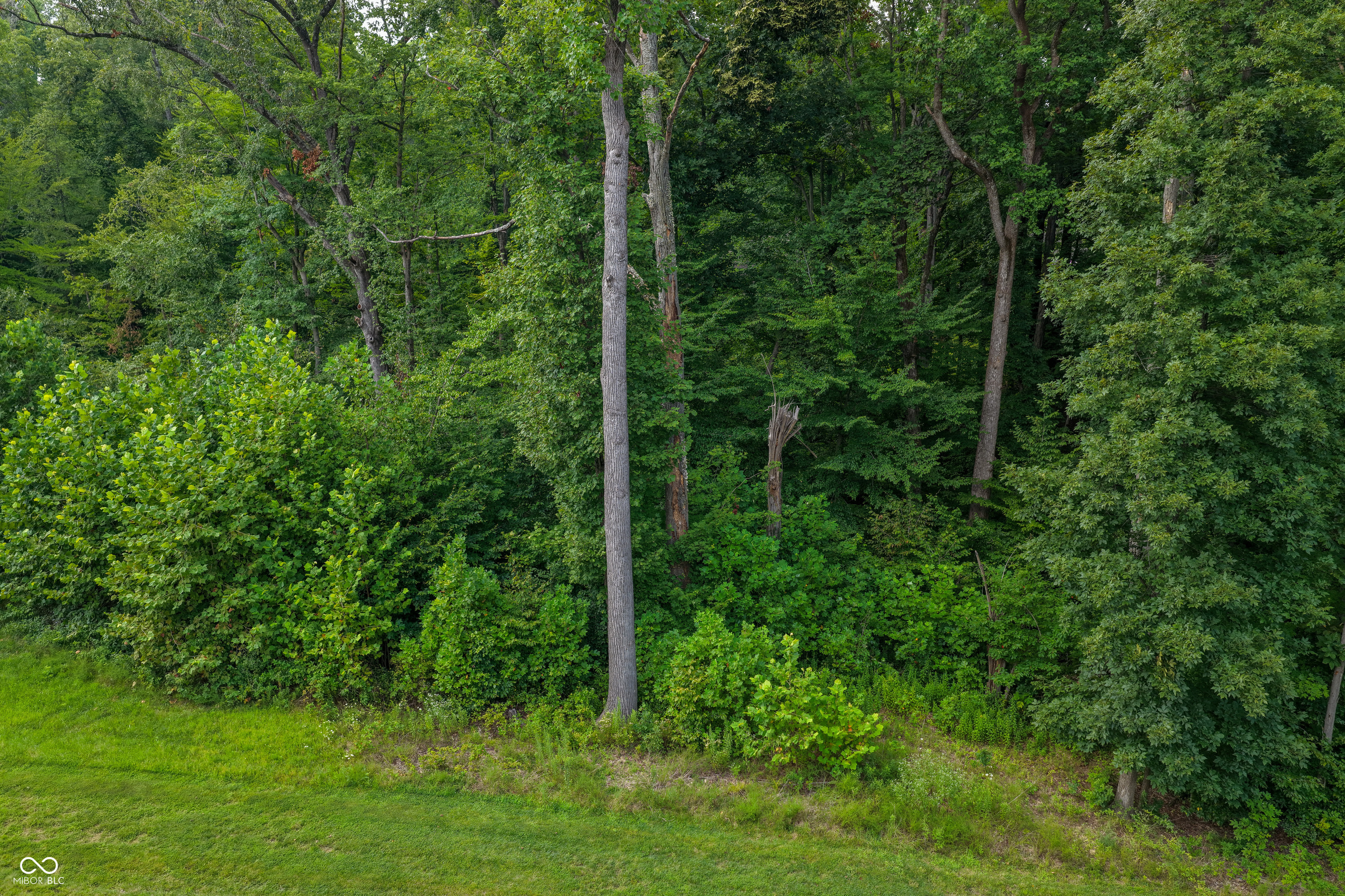 5066 Oak Ridge Trail