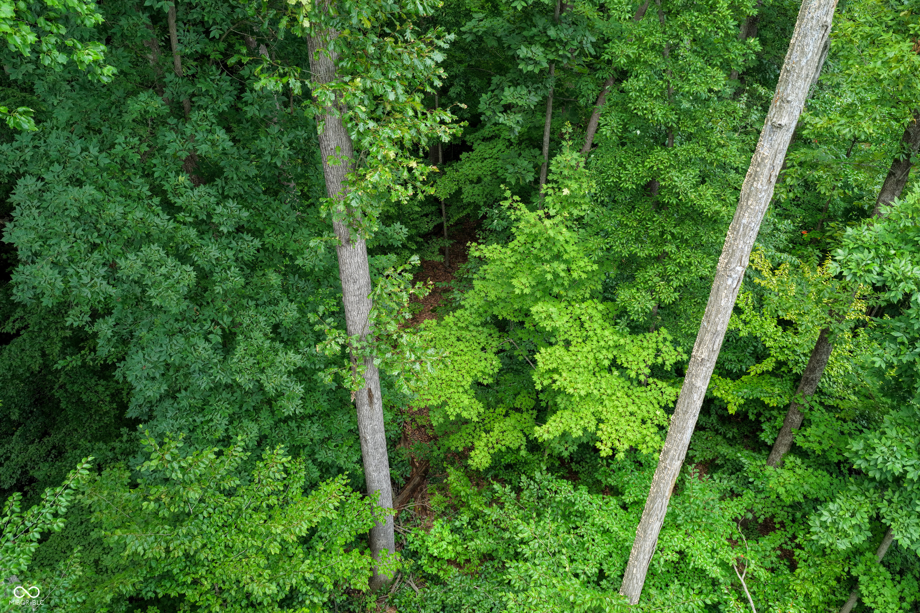5066 Oak Ridge Trail