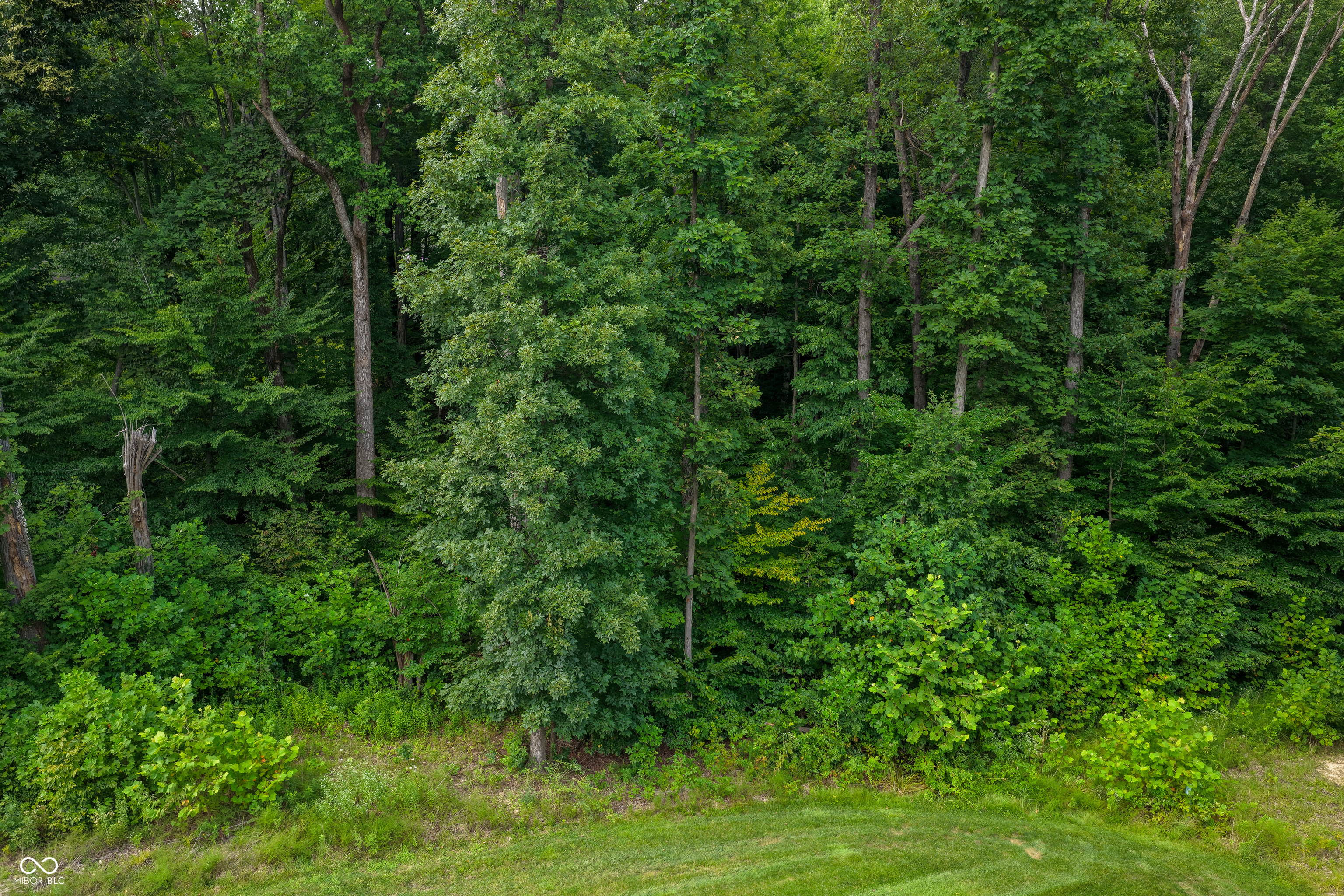 5066 Oak Ridge Trail