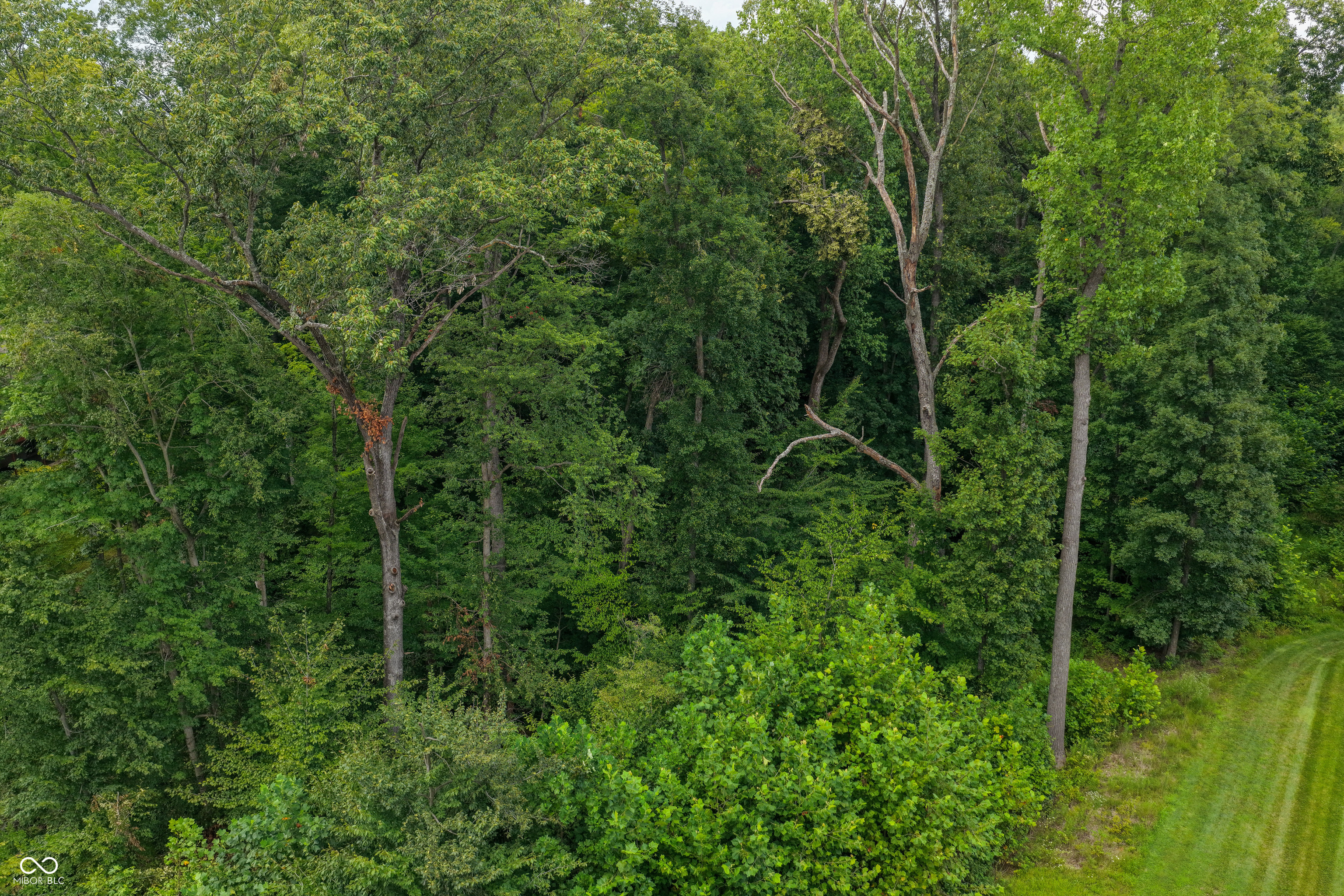 5066 Oak Ridge Trail