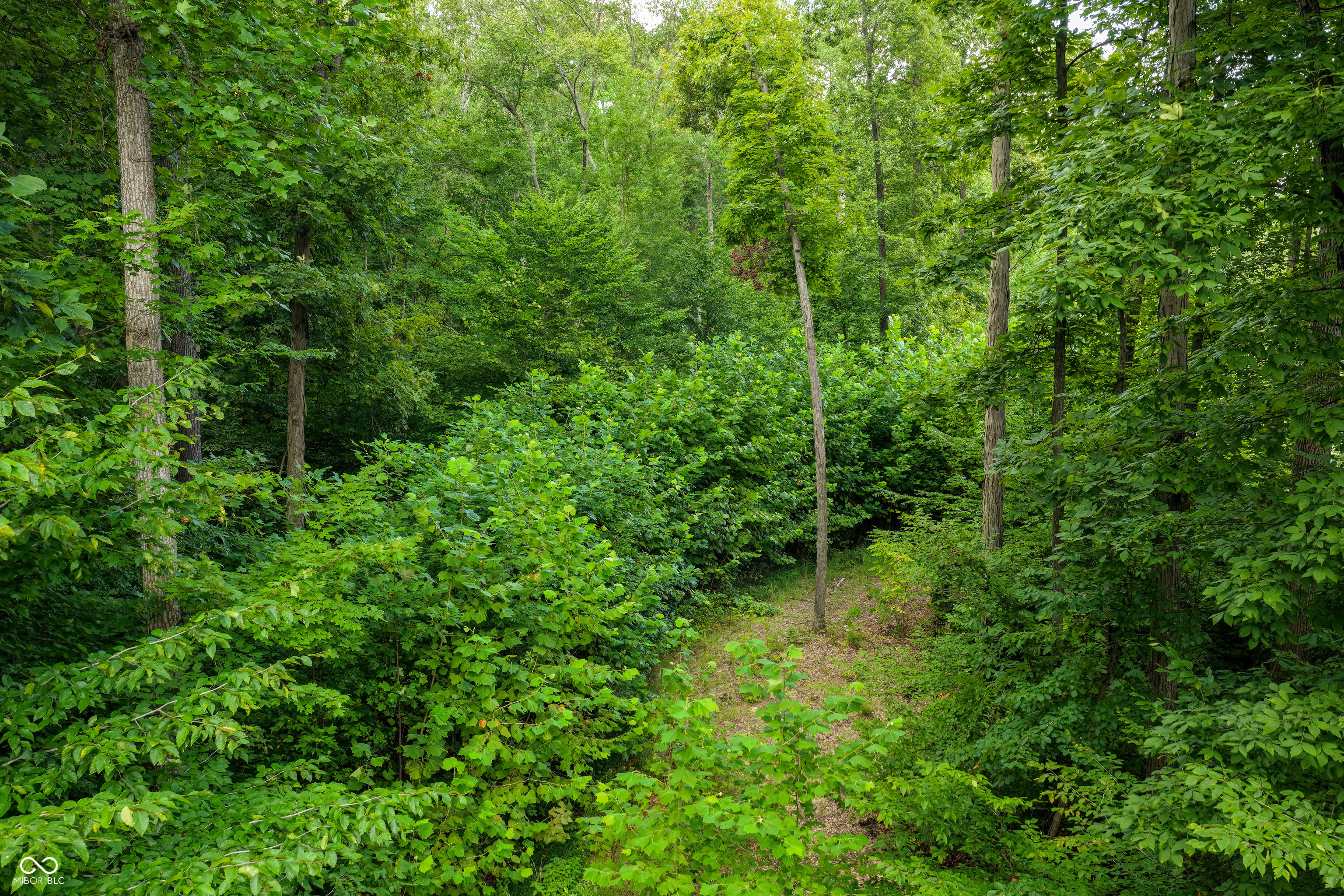 5066 Oak Ridge Trail