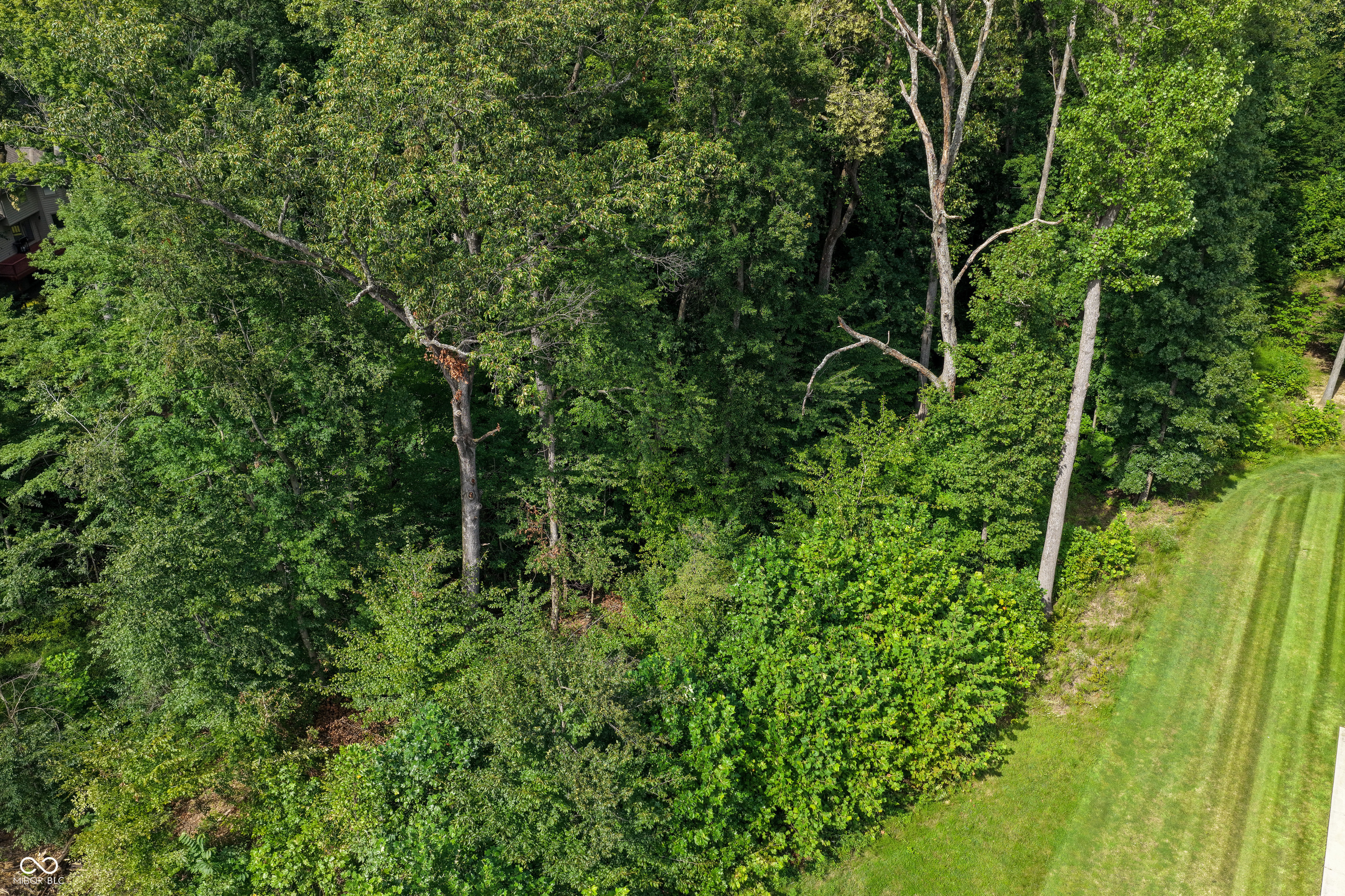 5066 Oak Ridge Trail