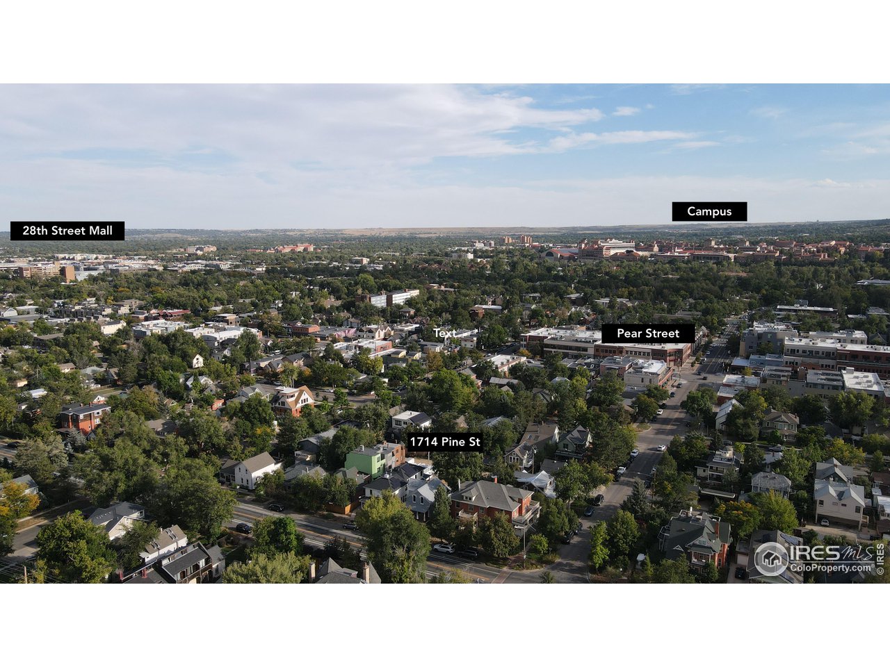 1714 Pine St A and B